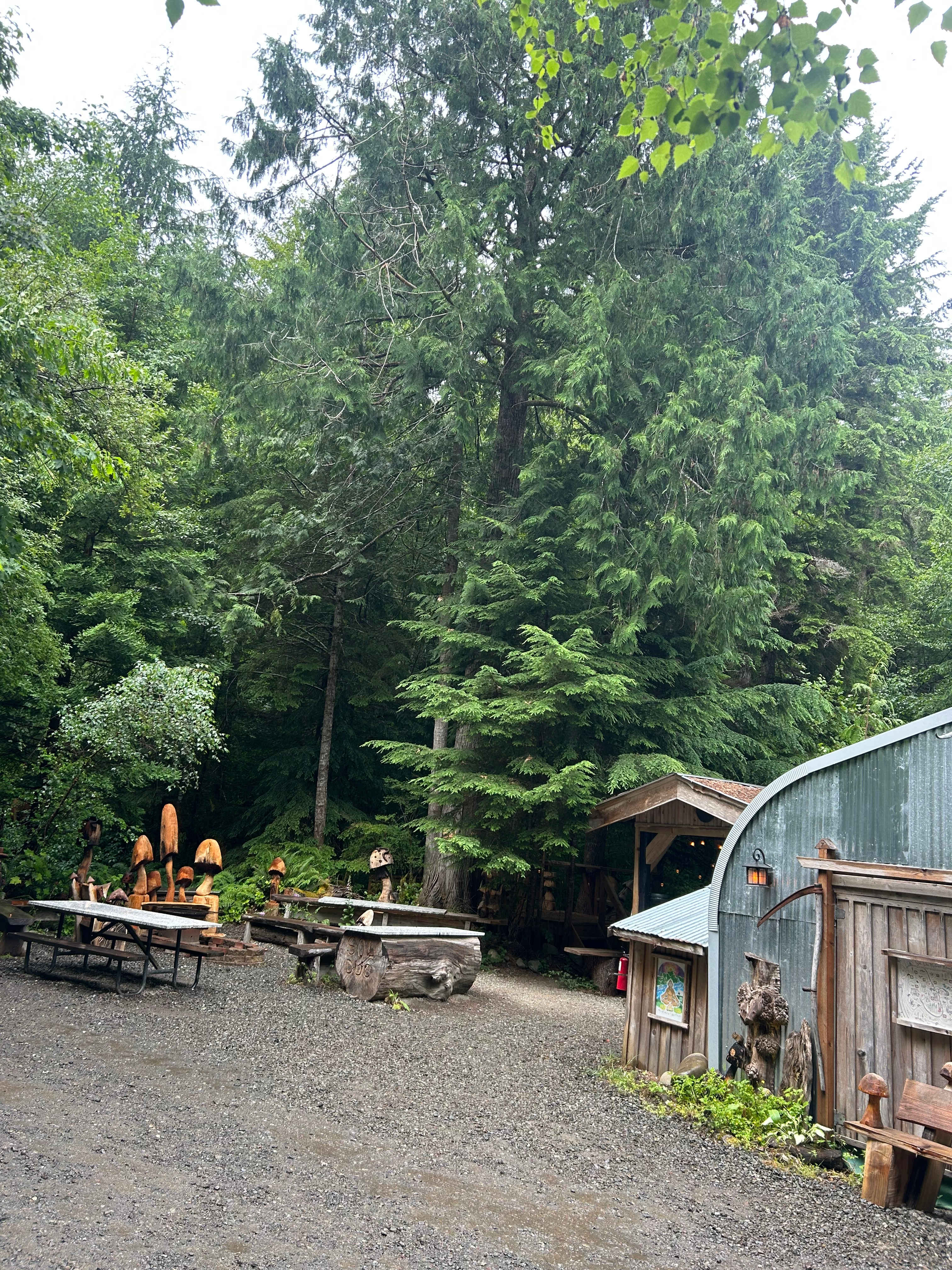 sol duc rainforest retreat