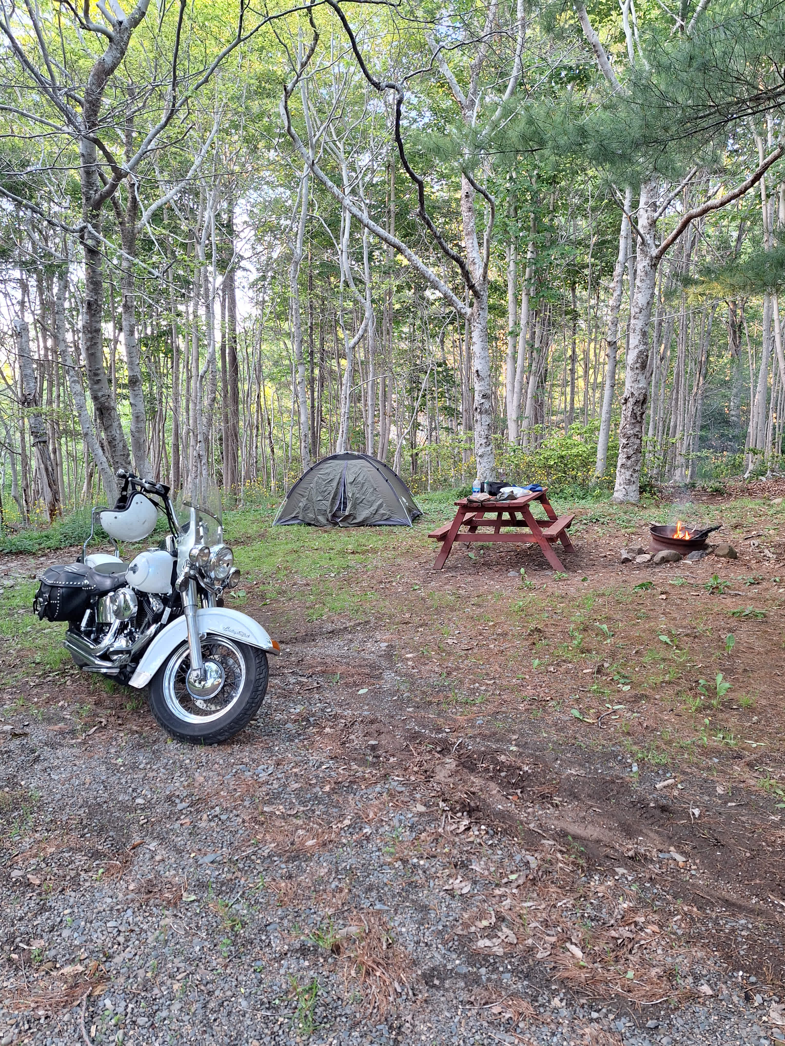 Fundy Spray Campground