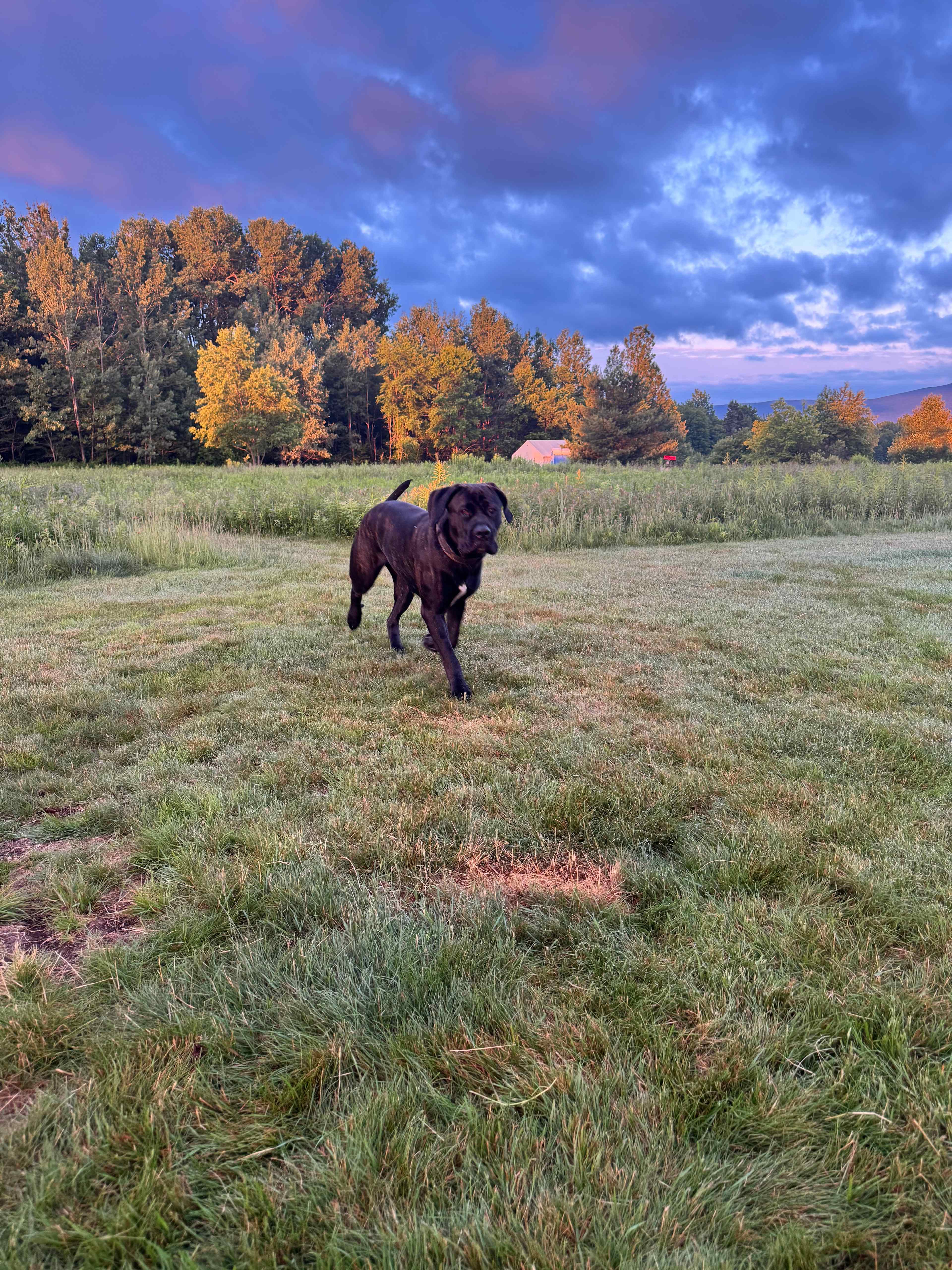 Grateful Acres Vermont
