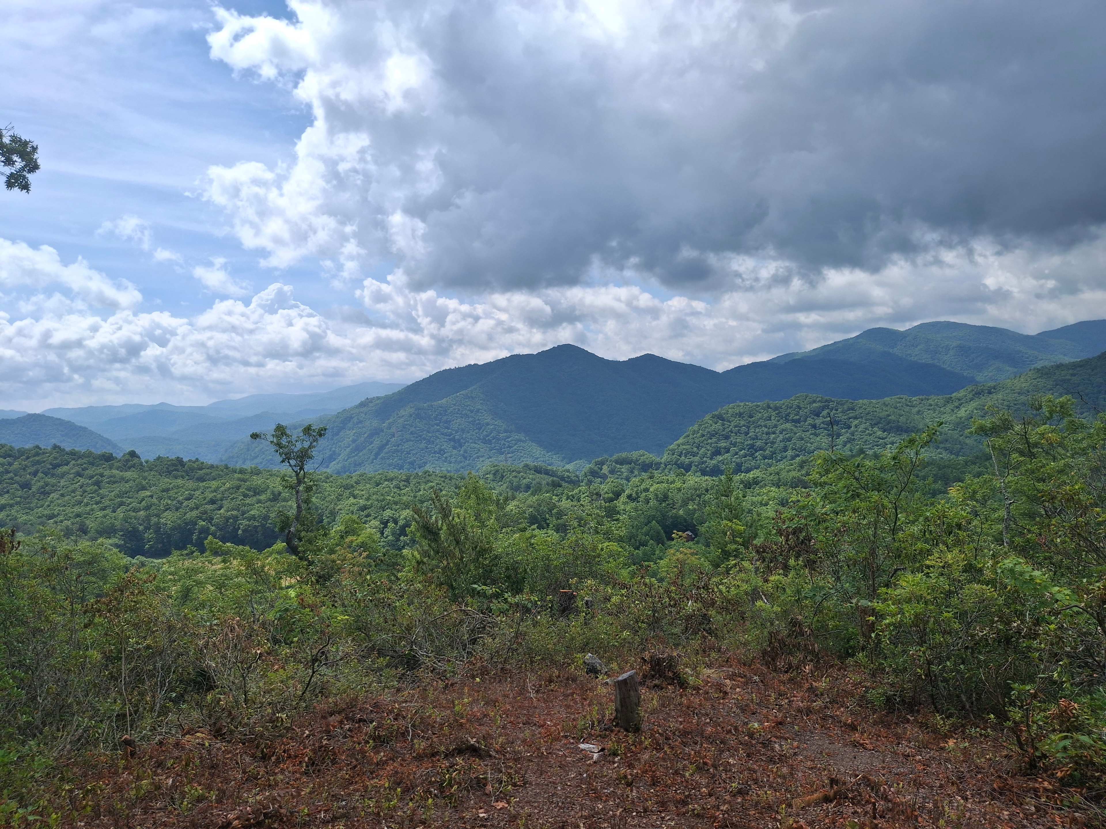 Private Panoramic Dark Sky Ridge
