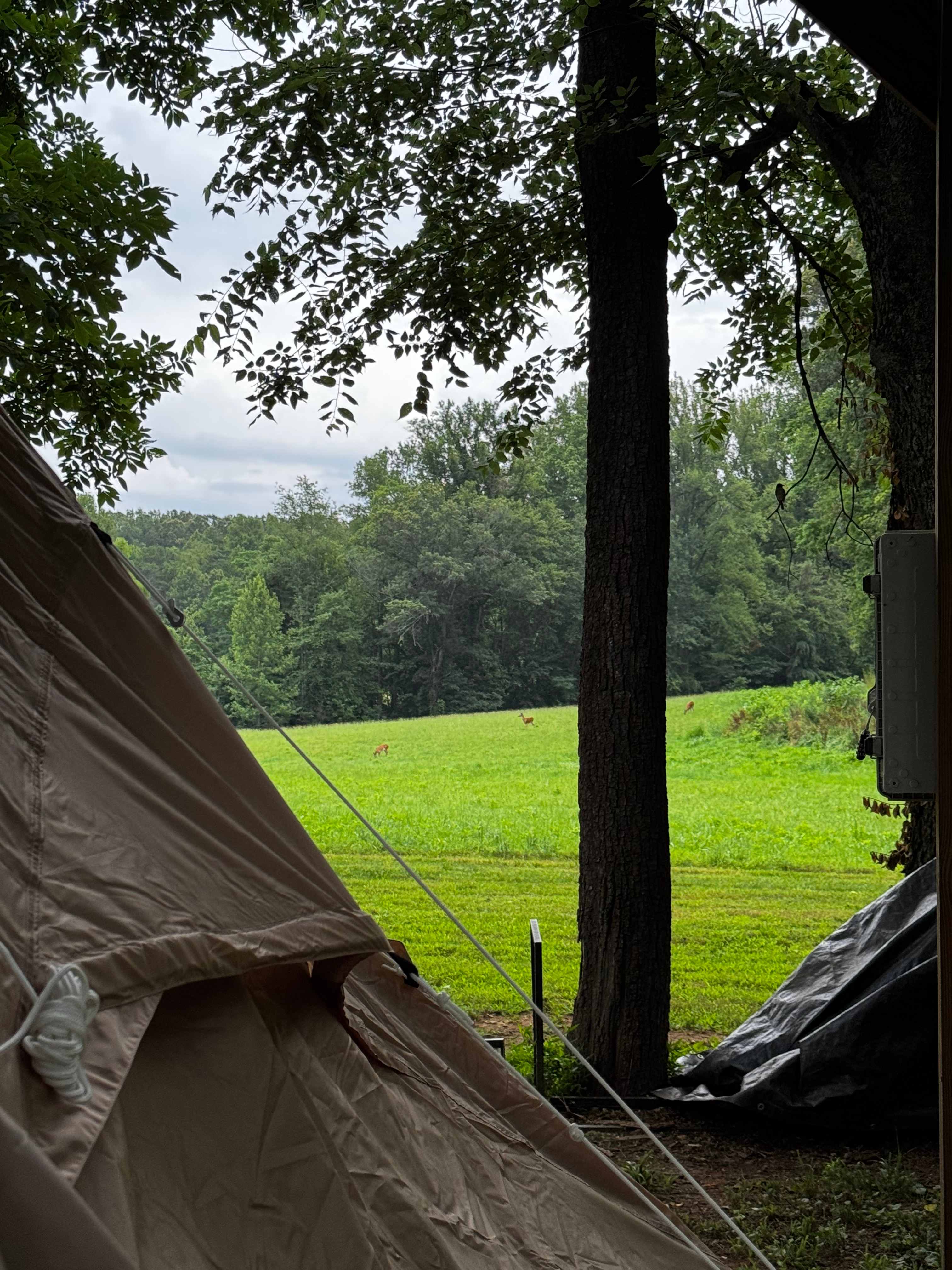 Two Rivers Campsites