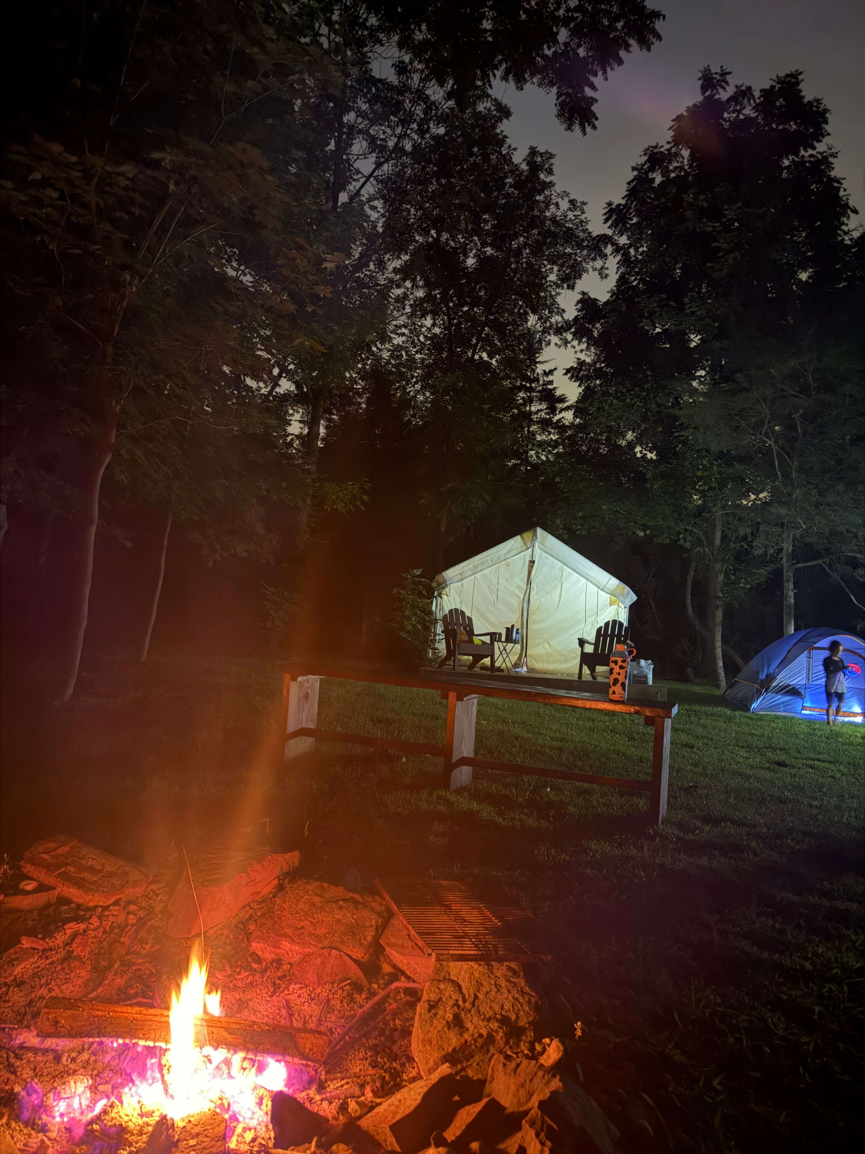 Camp Nox ⛺️