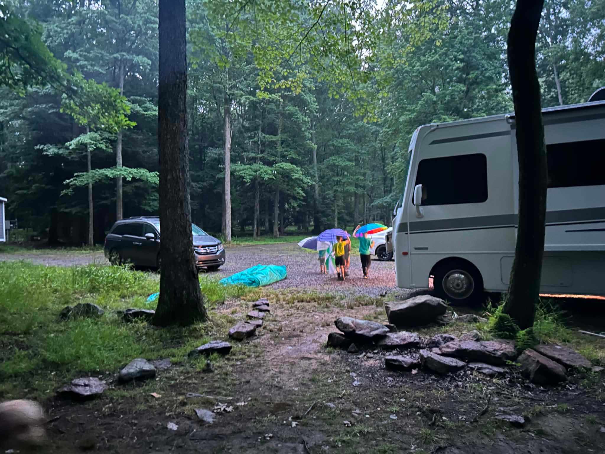 Clear Creek Cook Forest Campsite