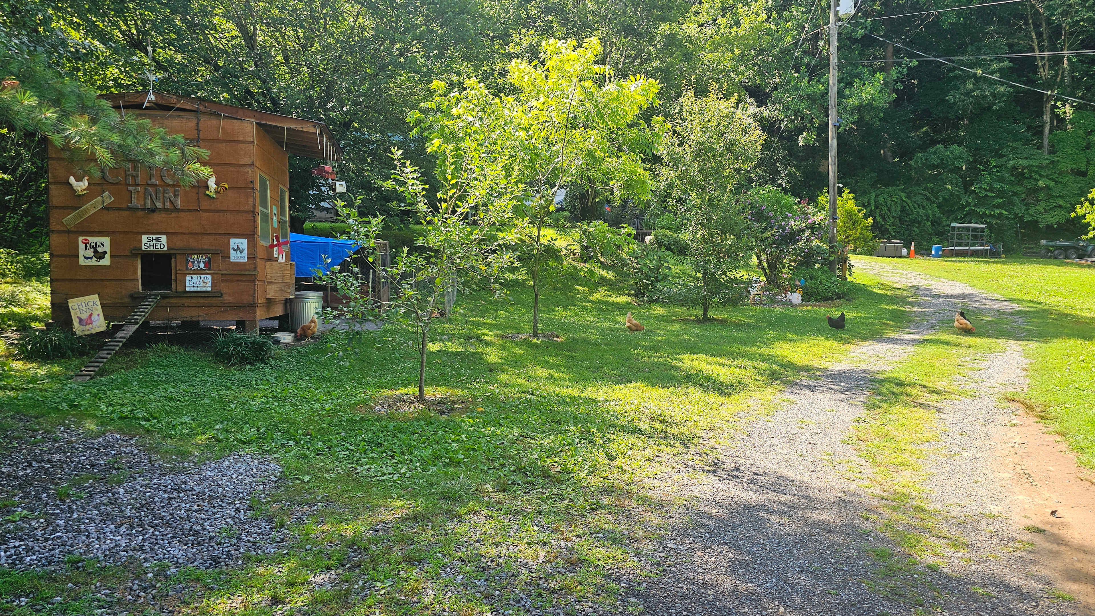 Conleys Creek Campground