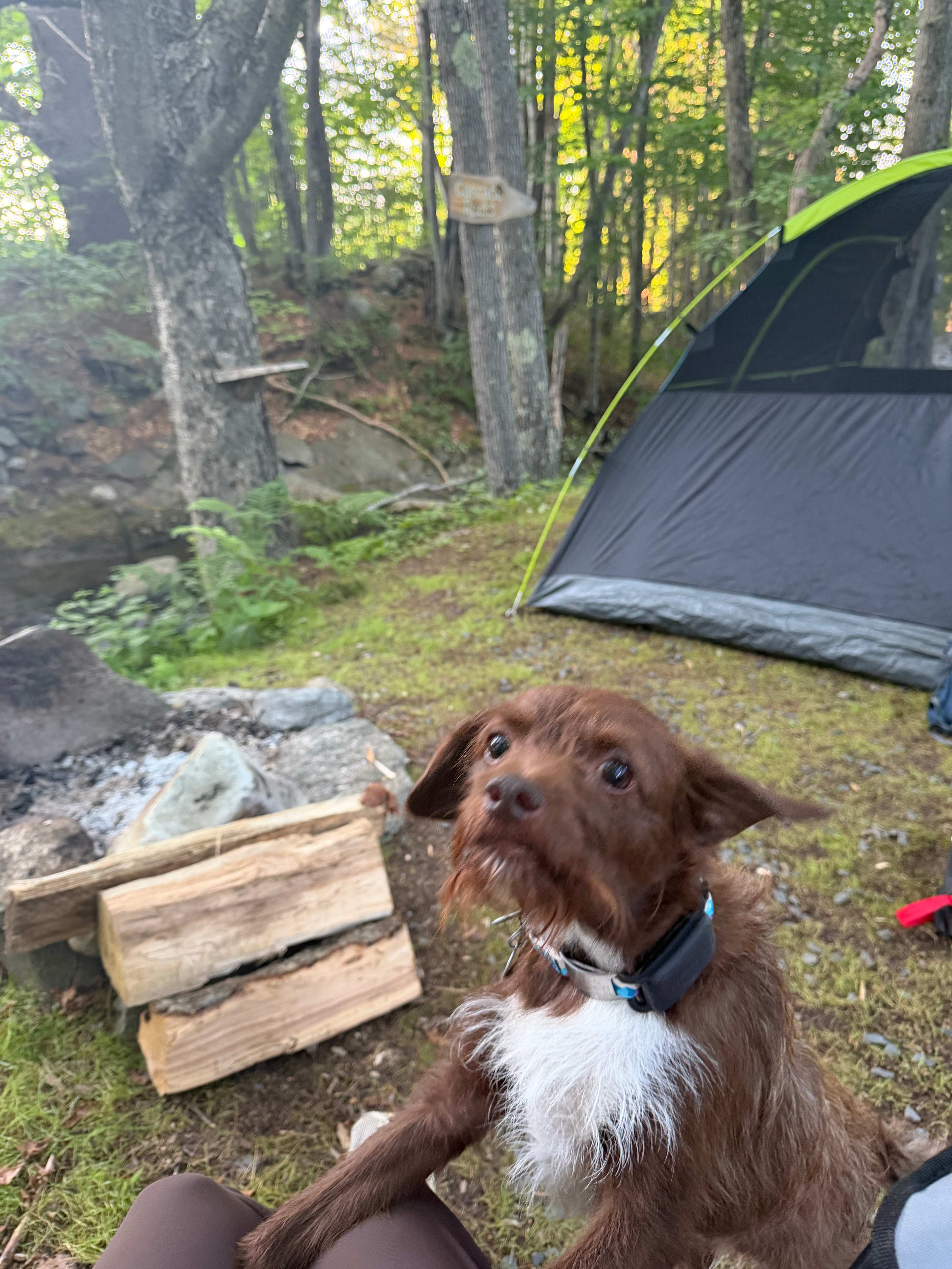 Camp Ebb and Flow