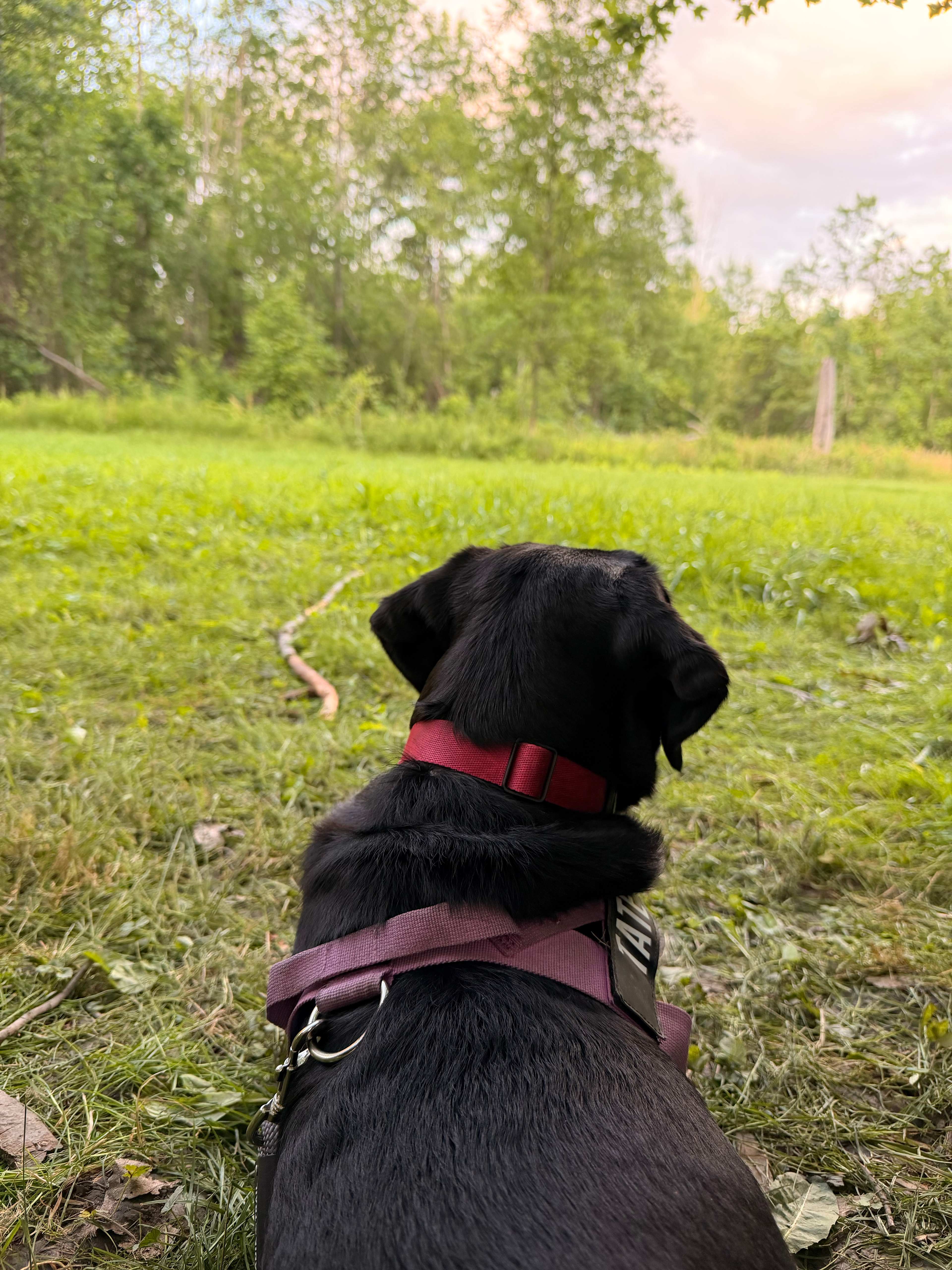 Tate winding down at the end of the day at Camp Bandur. 