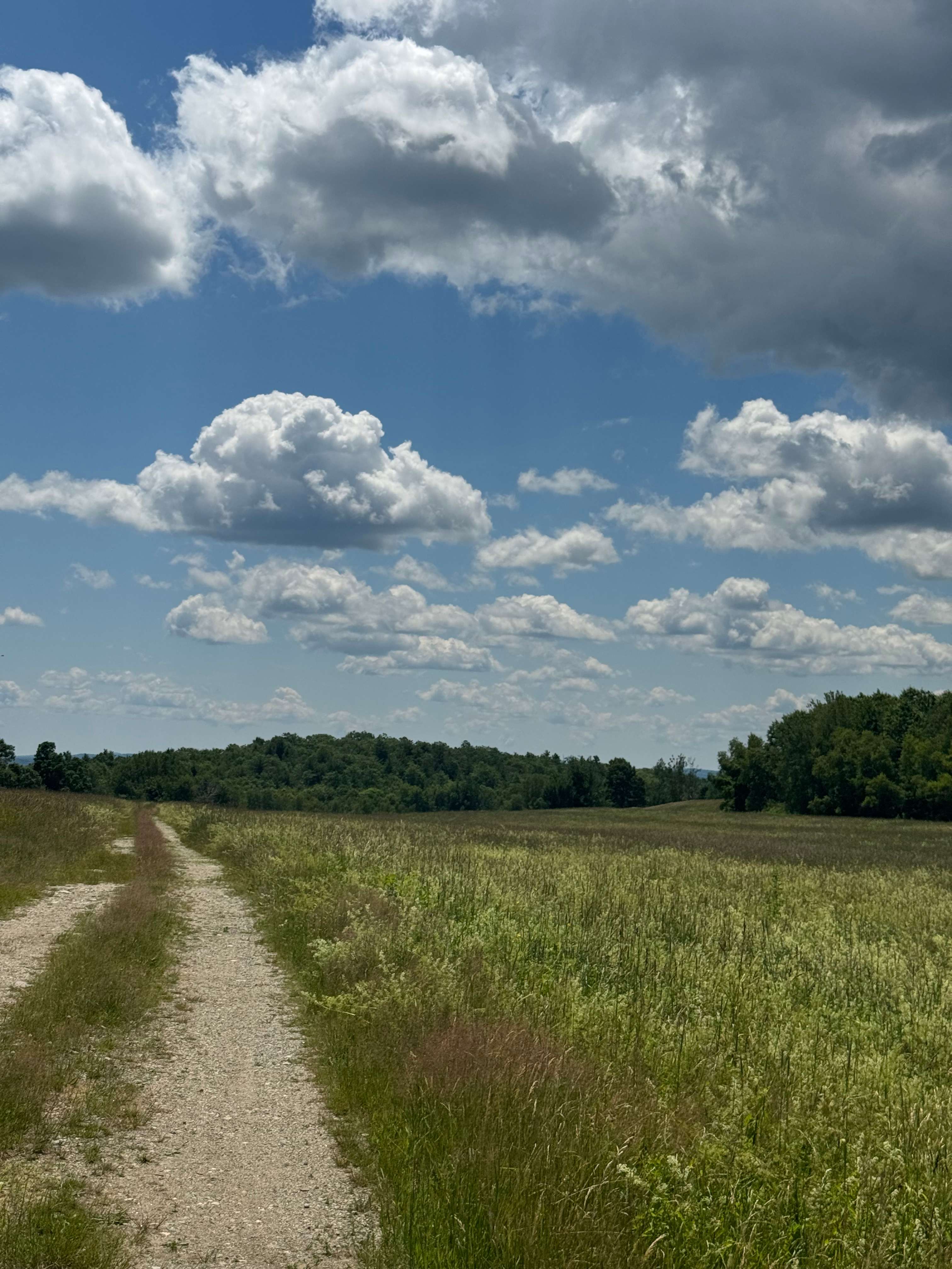 Berry Fruit Farm