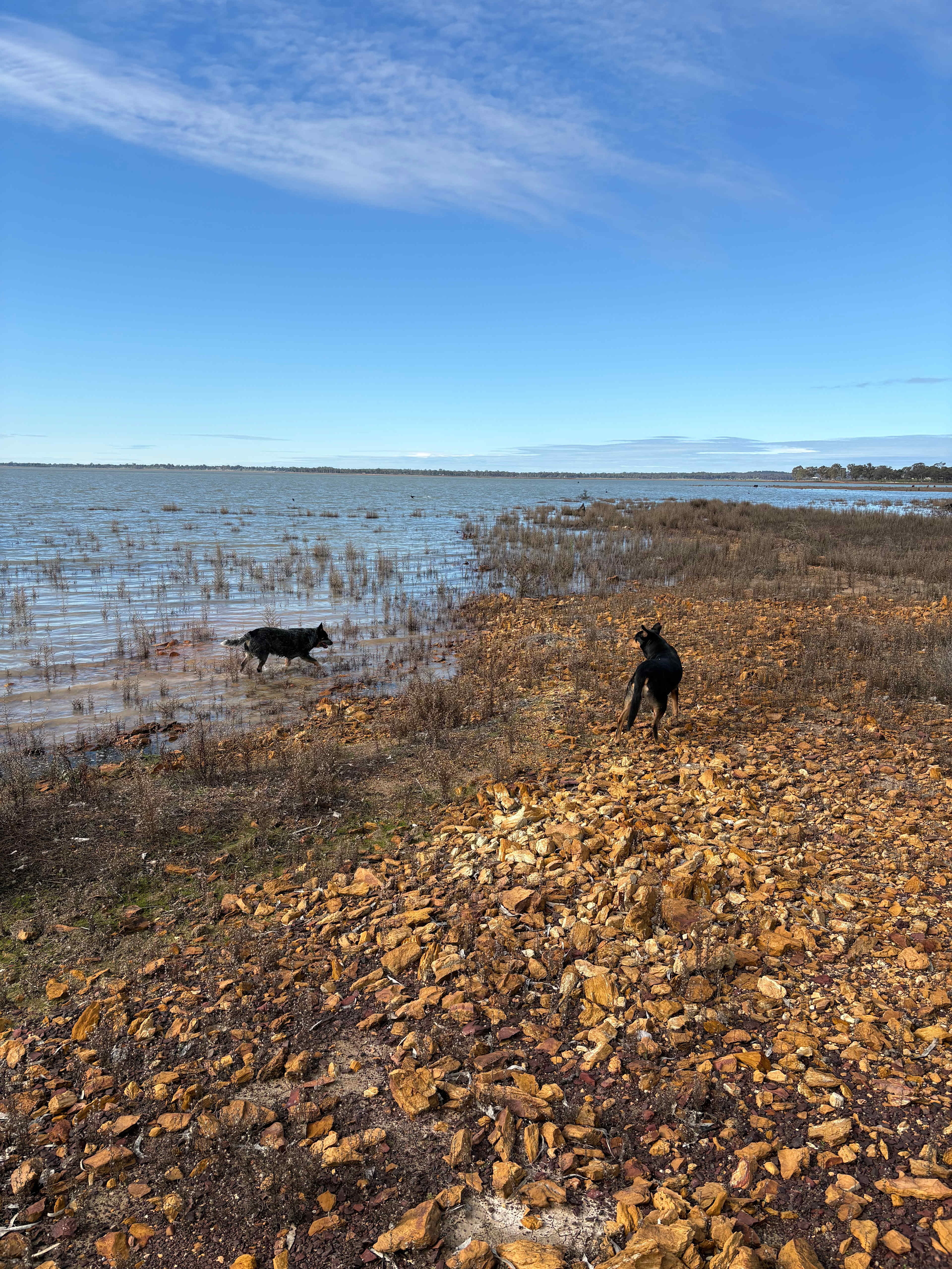 Badgery Point