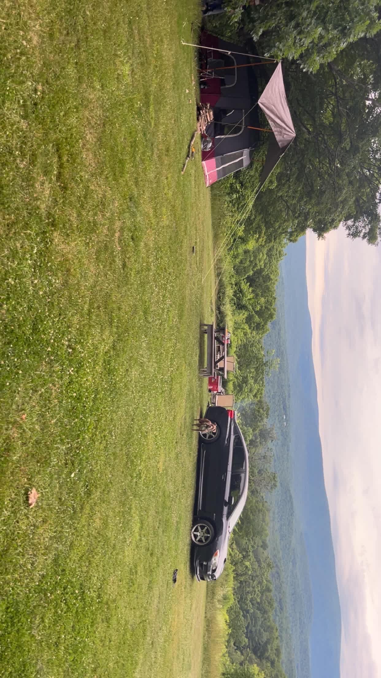 Timbertrail Farm