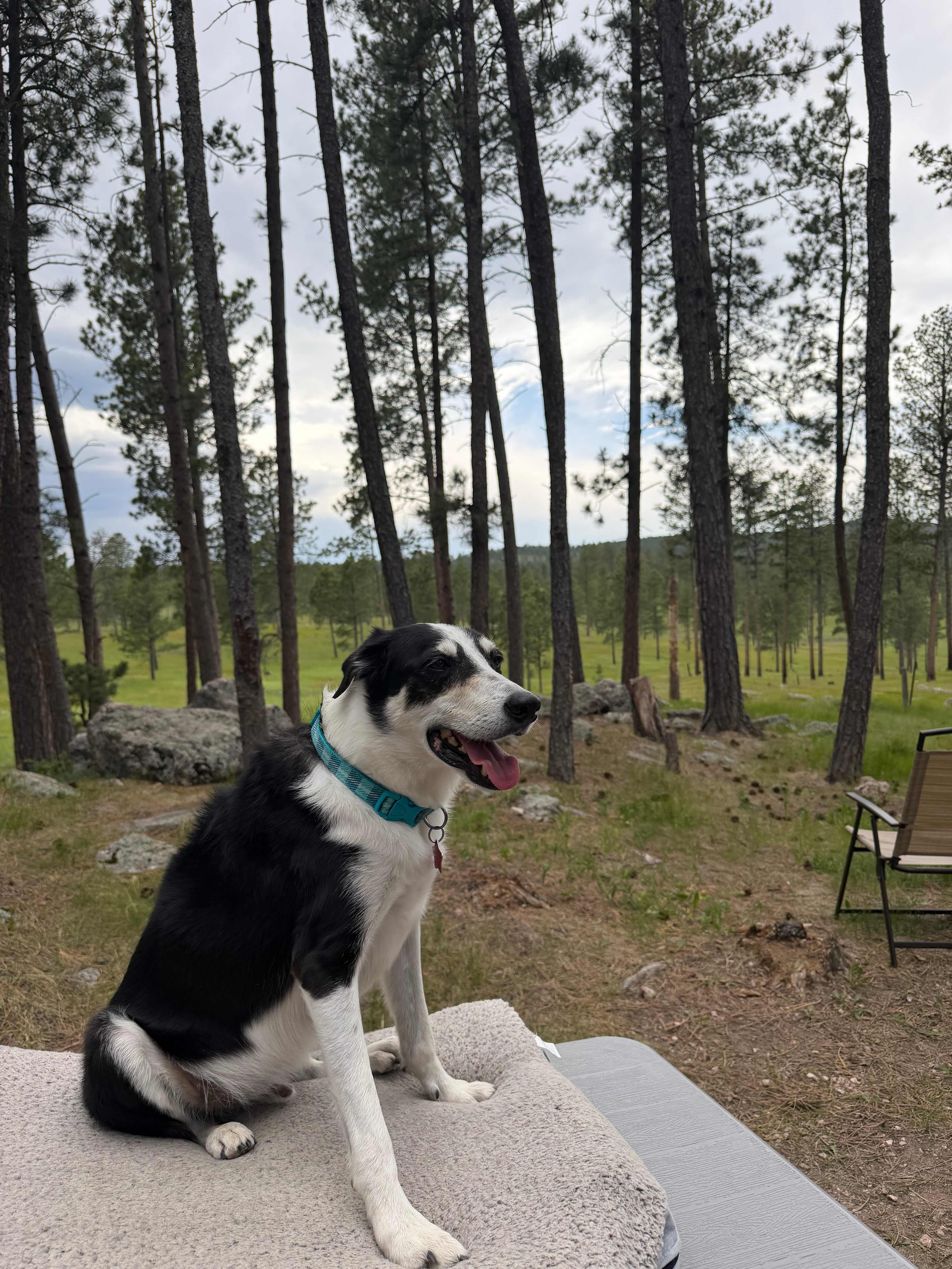 Big Pine Campground