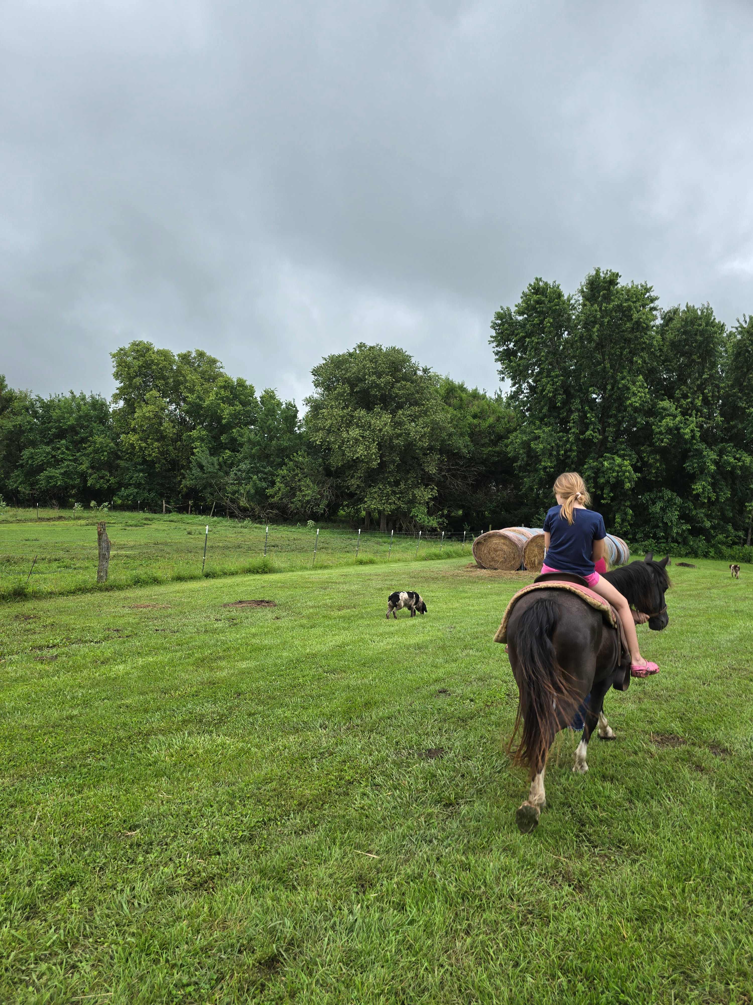 Serenity Fields Farm