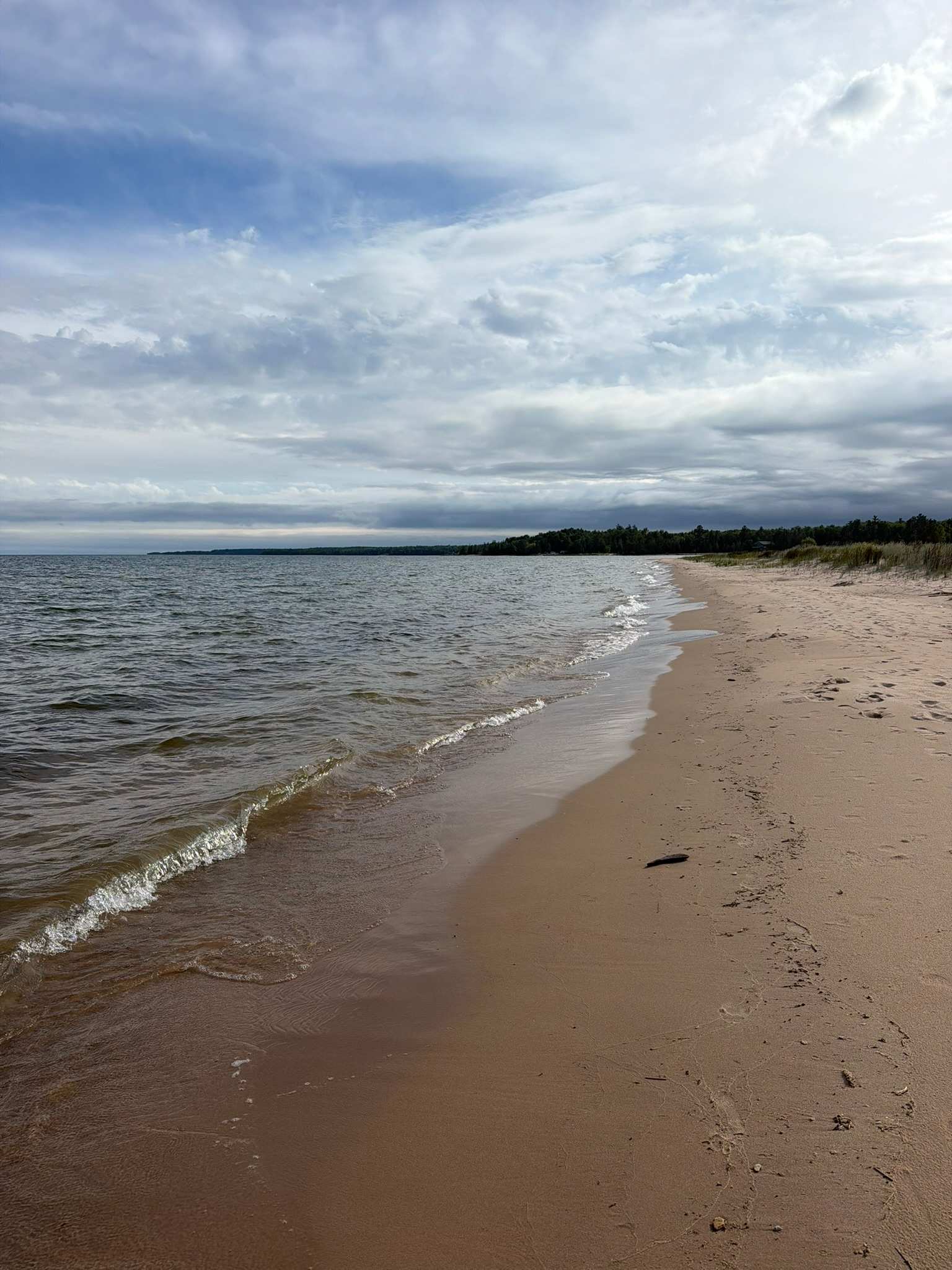 Pinecone Beach