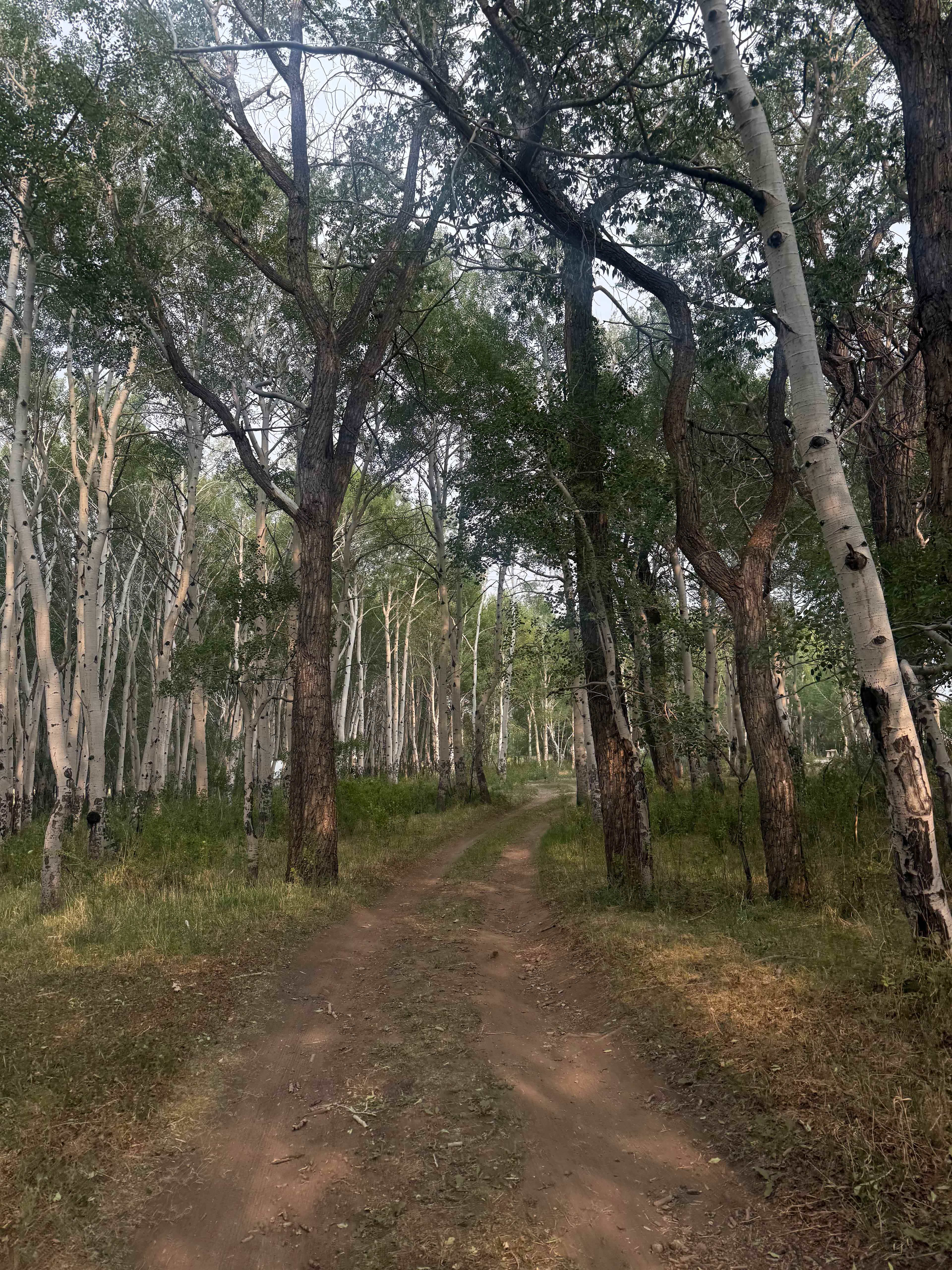Frenchman's Creek Ranch