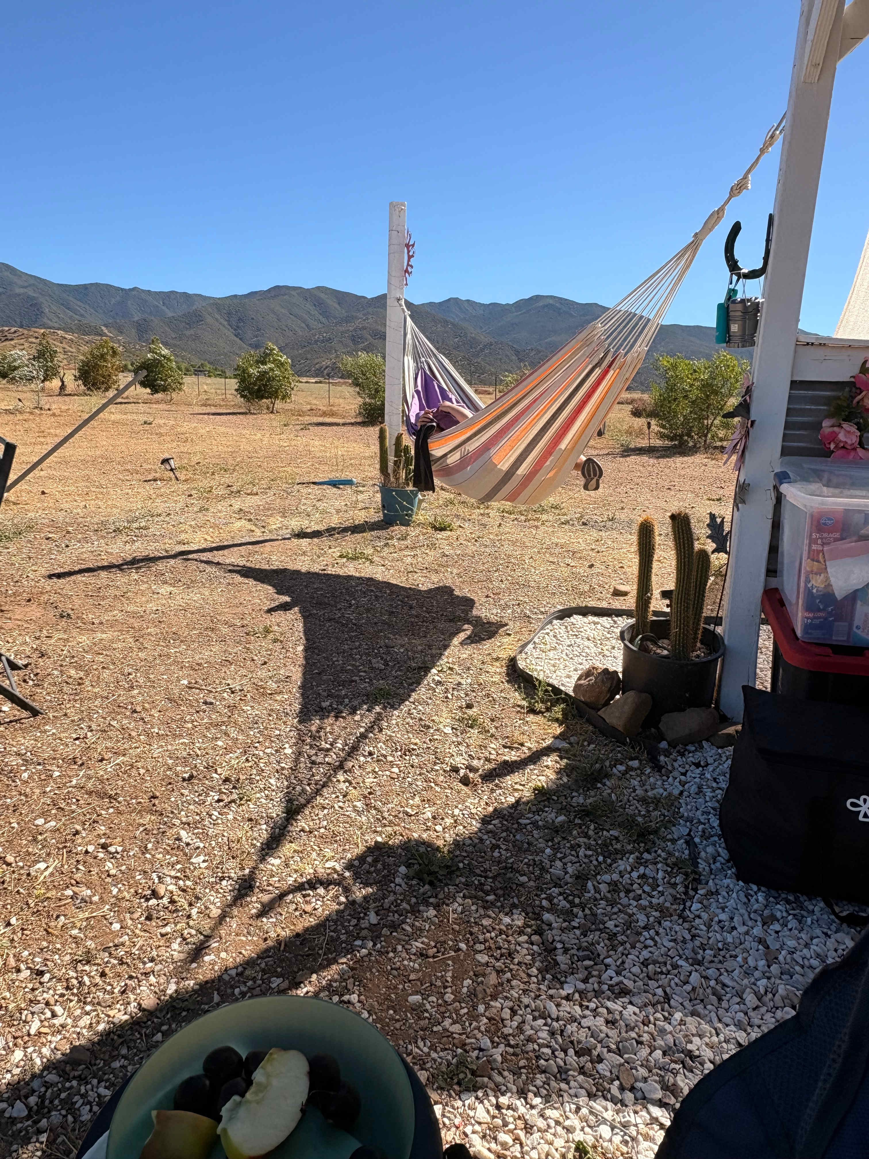 Views for days and plenty to keep the minions into good trouble! 