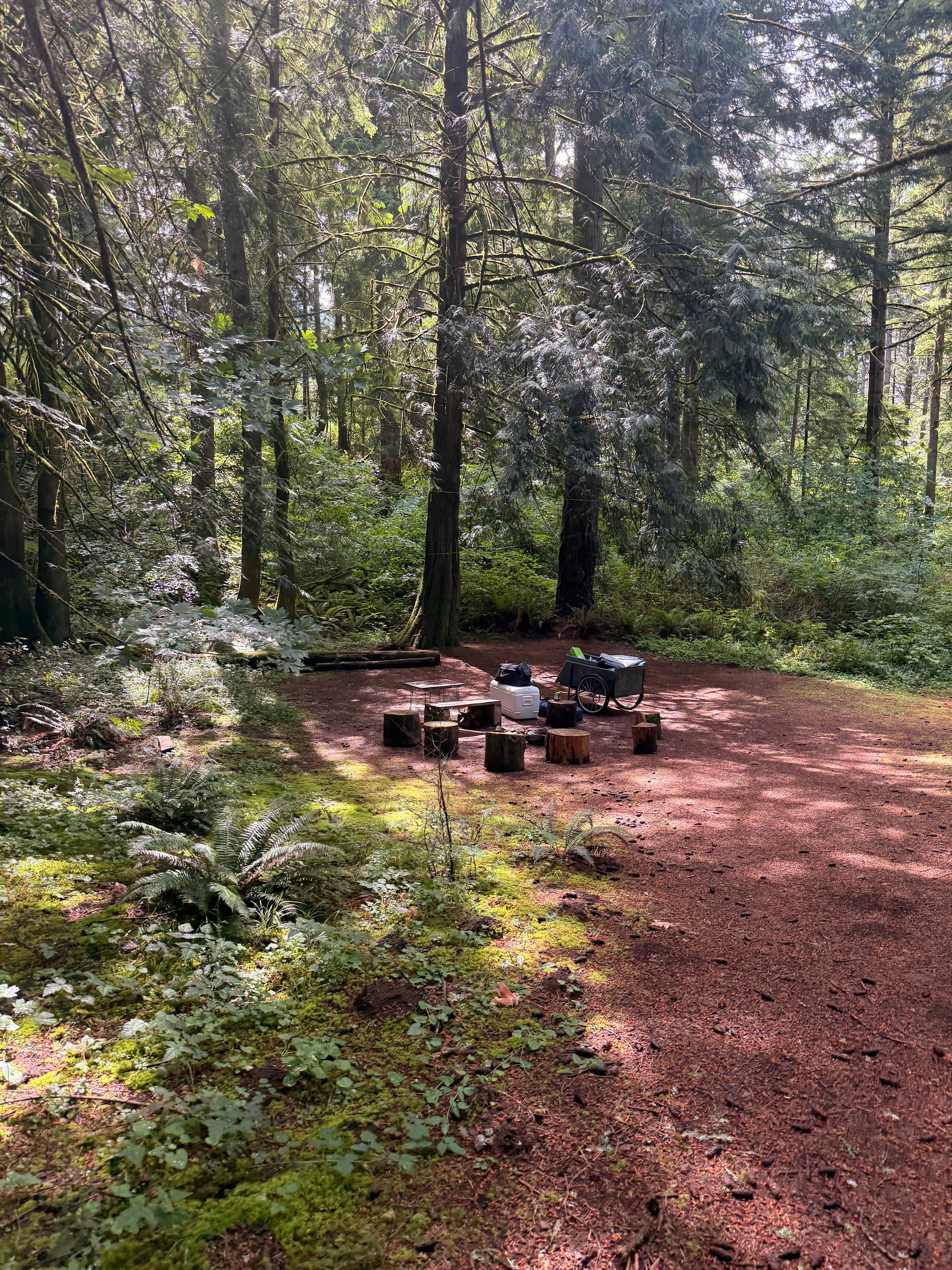 Perfectly covered little site, all of the rain didn’t bother us one bit with how covered the trees kept us