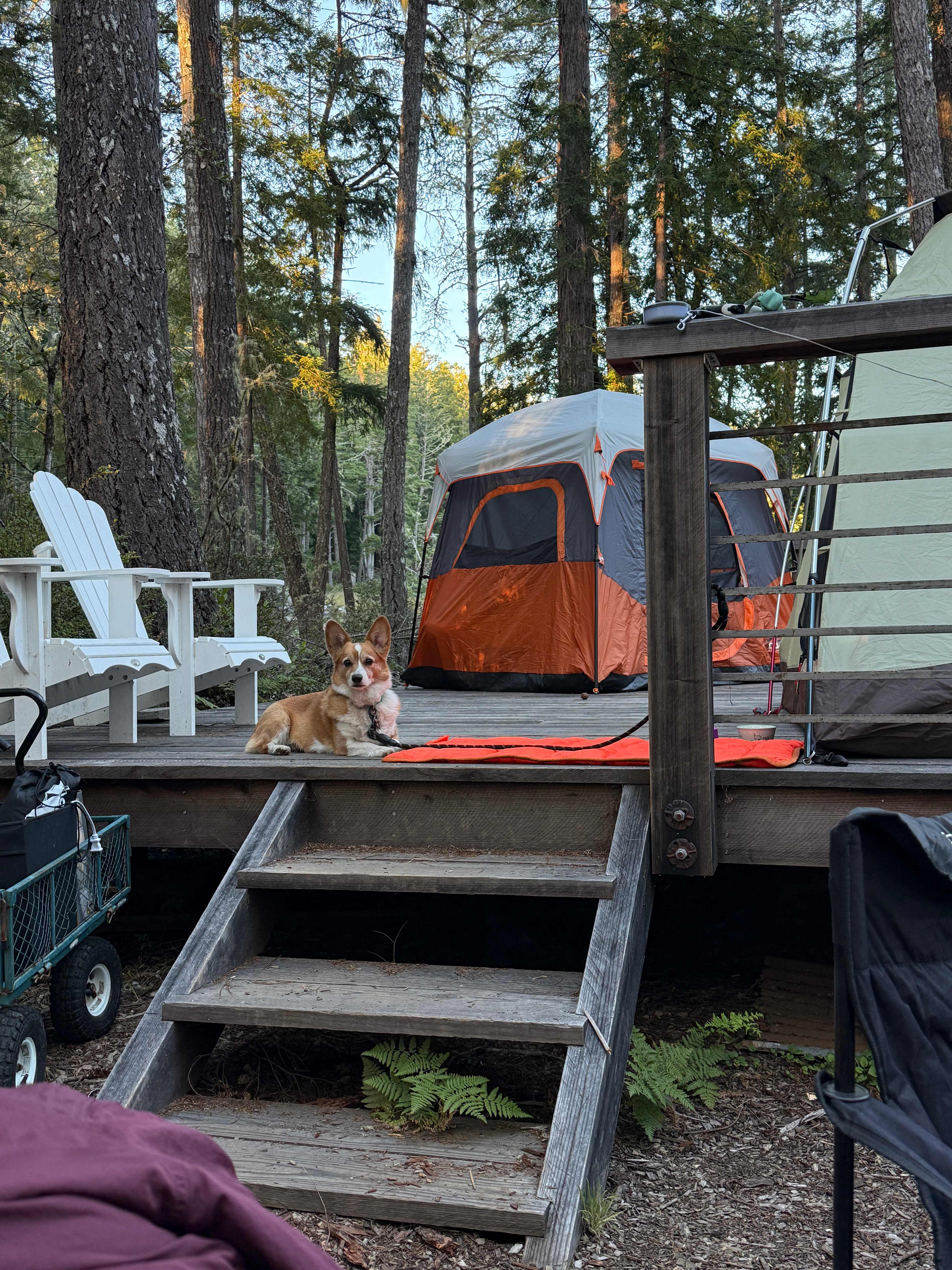Huckleberry Haven