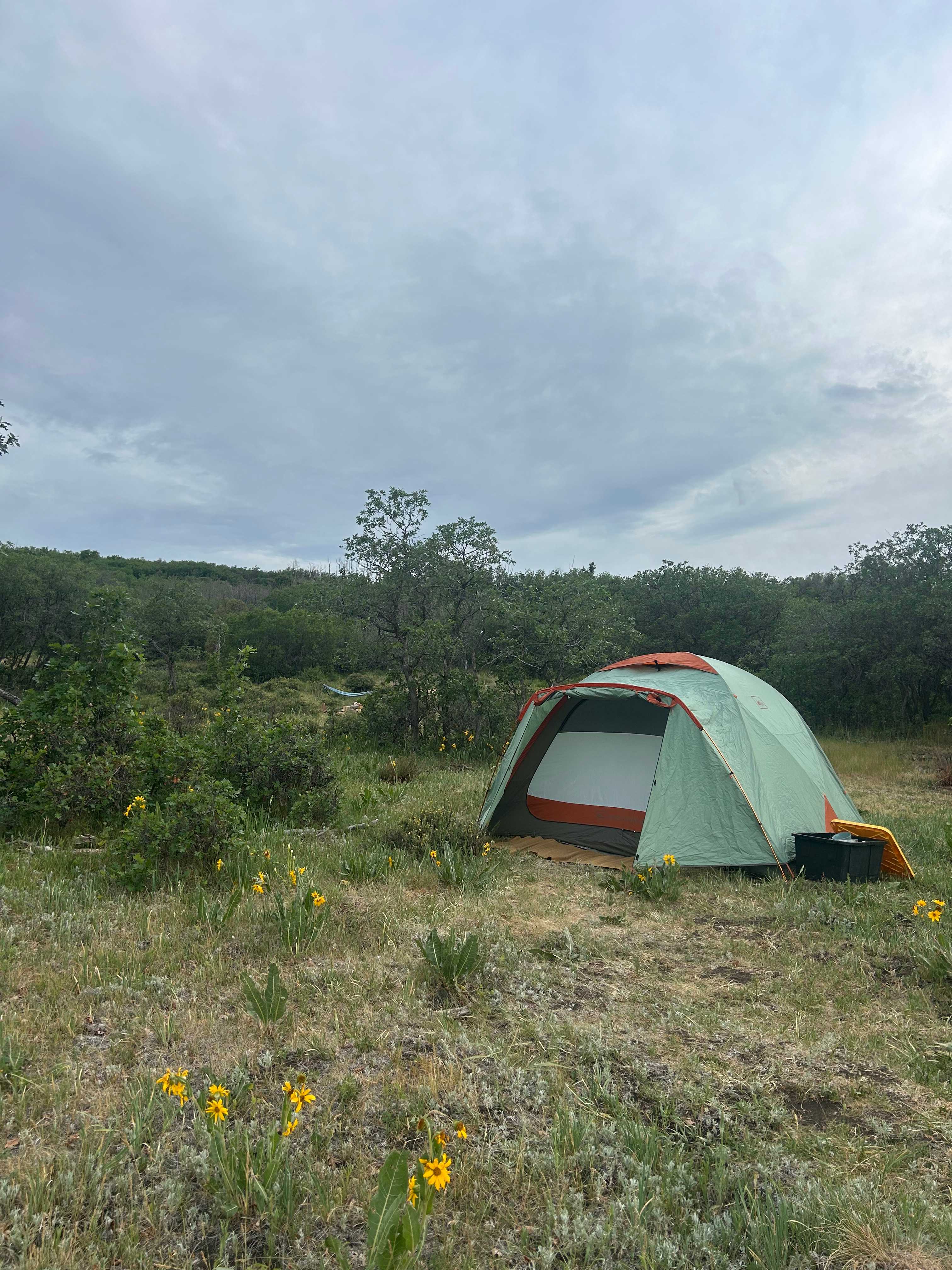 Hartwork Ranch