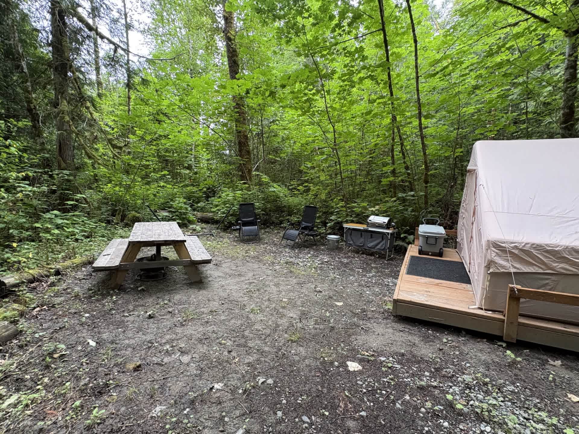 Picture of the site
