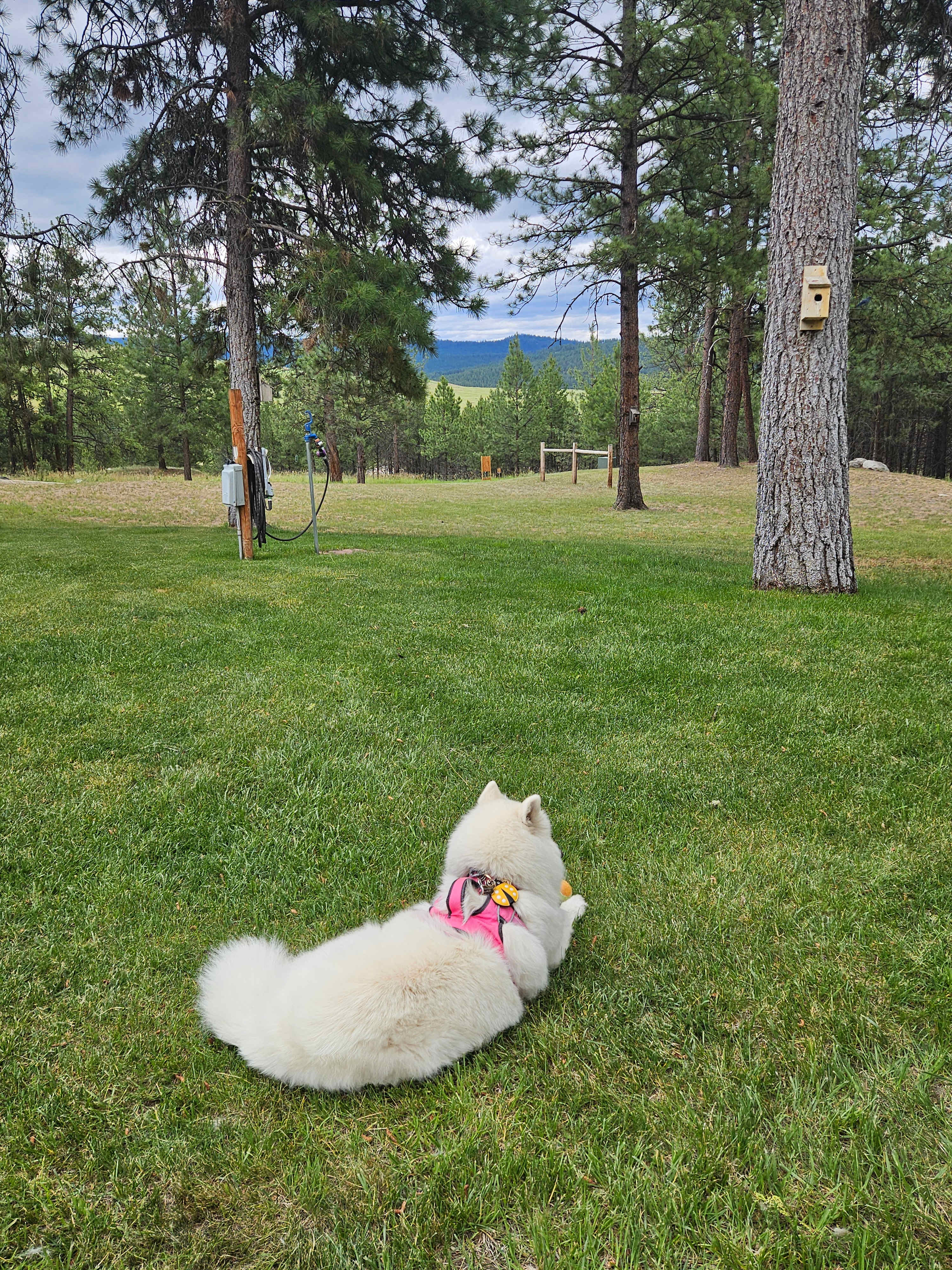 LAZY C Mini RV Park/Campground