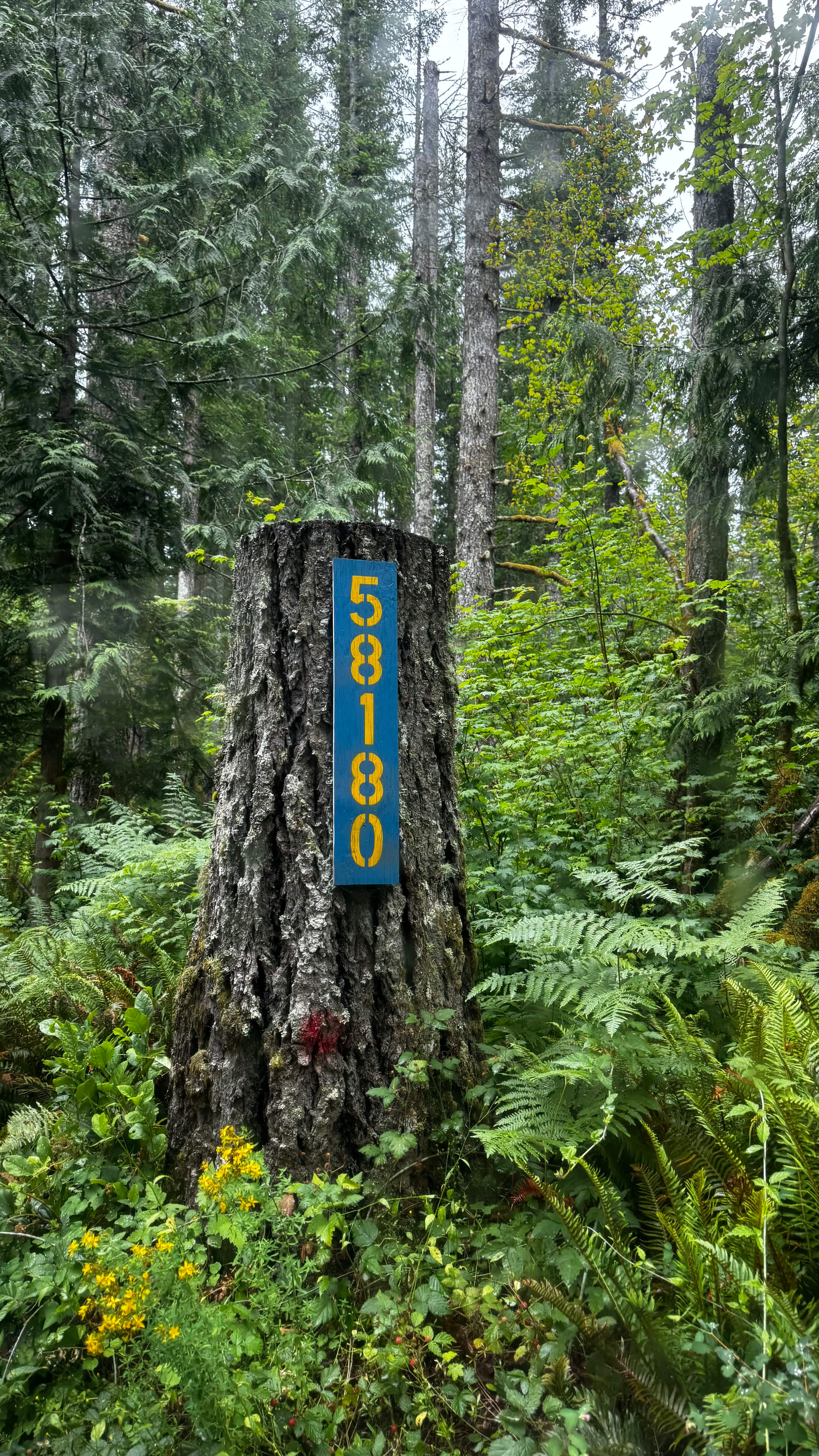 entrance sign