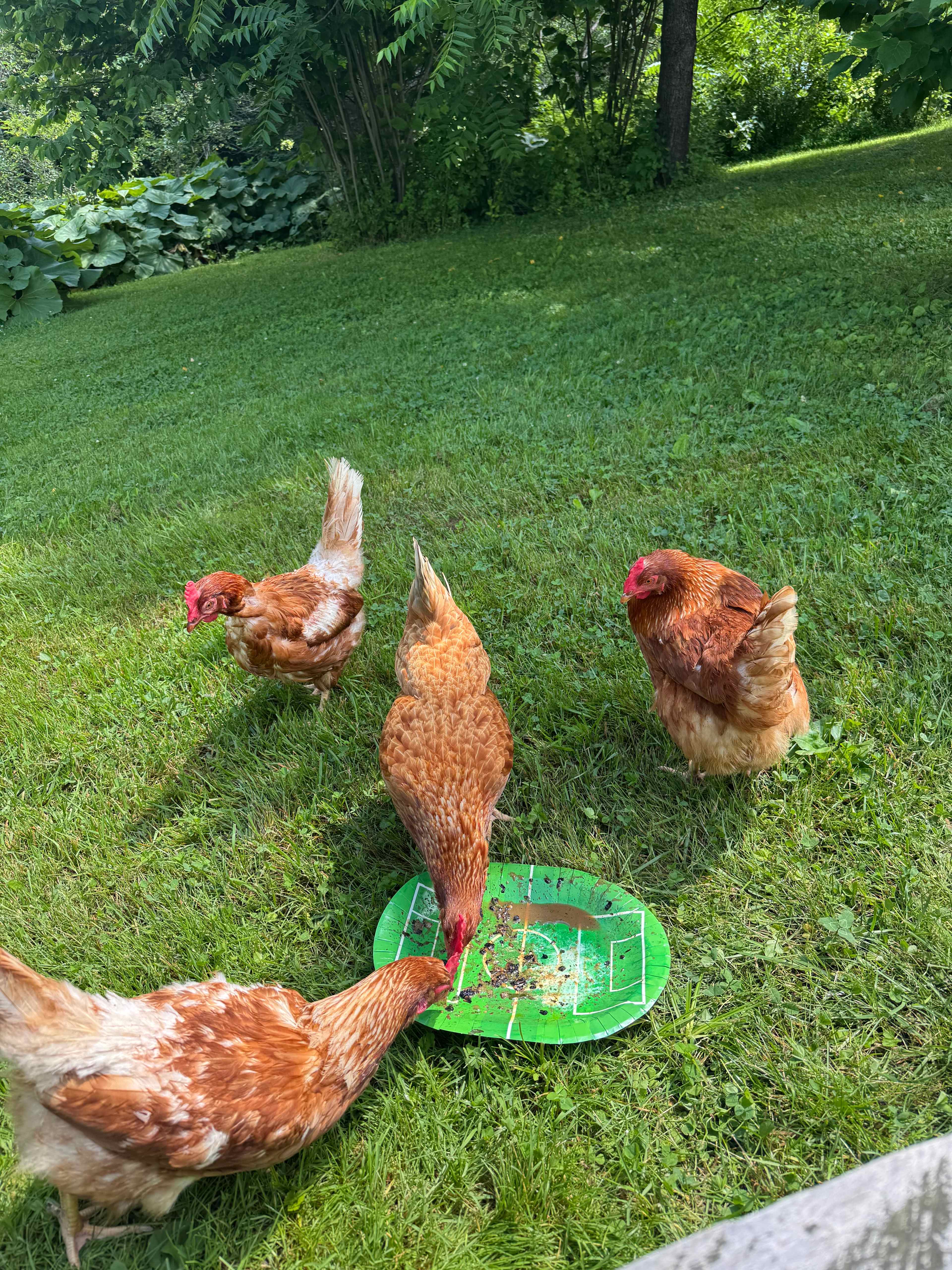 The girls enjoying our leftover homefries.