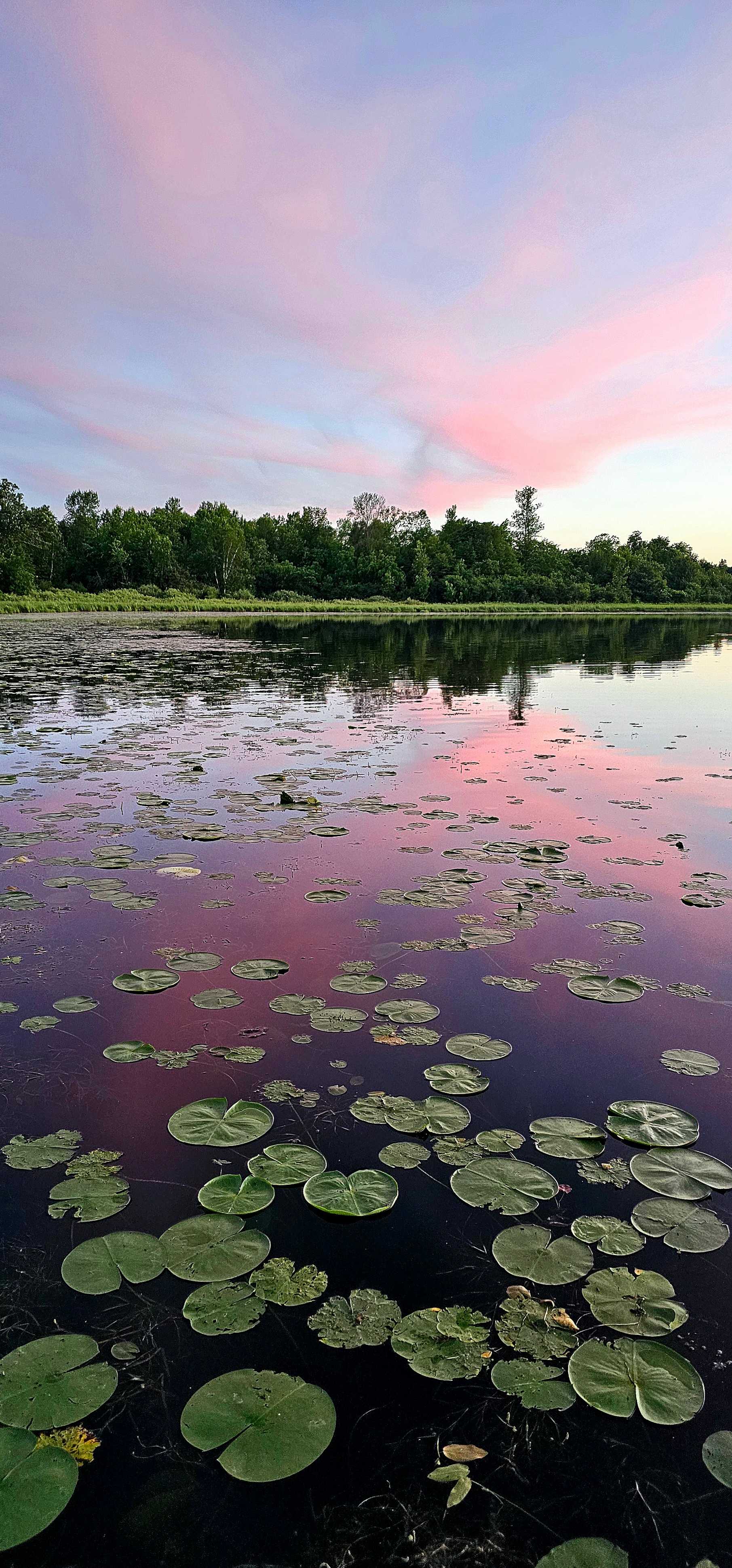 Bayberry Acres on Danger Lake