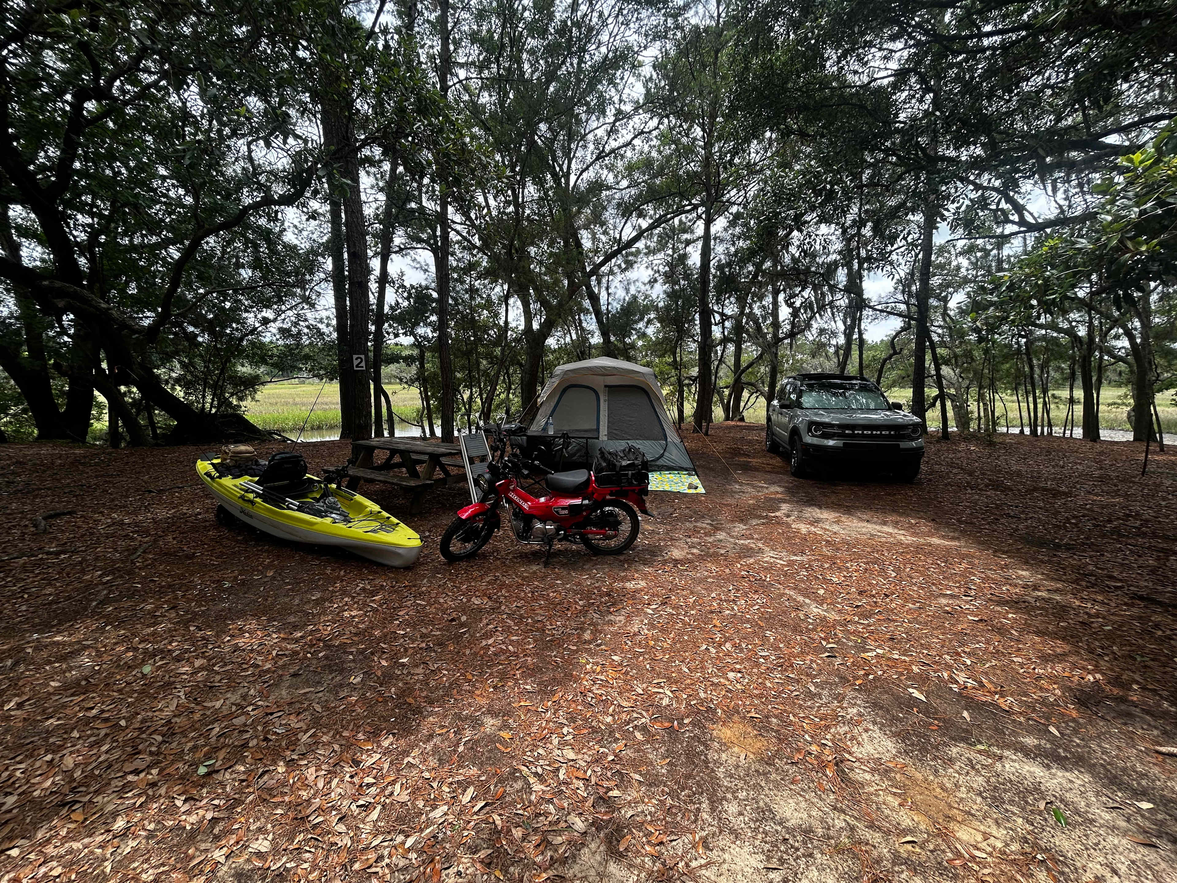 Hanscombe Point Plantation