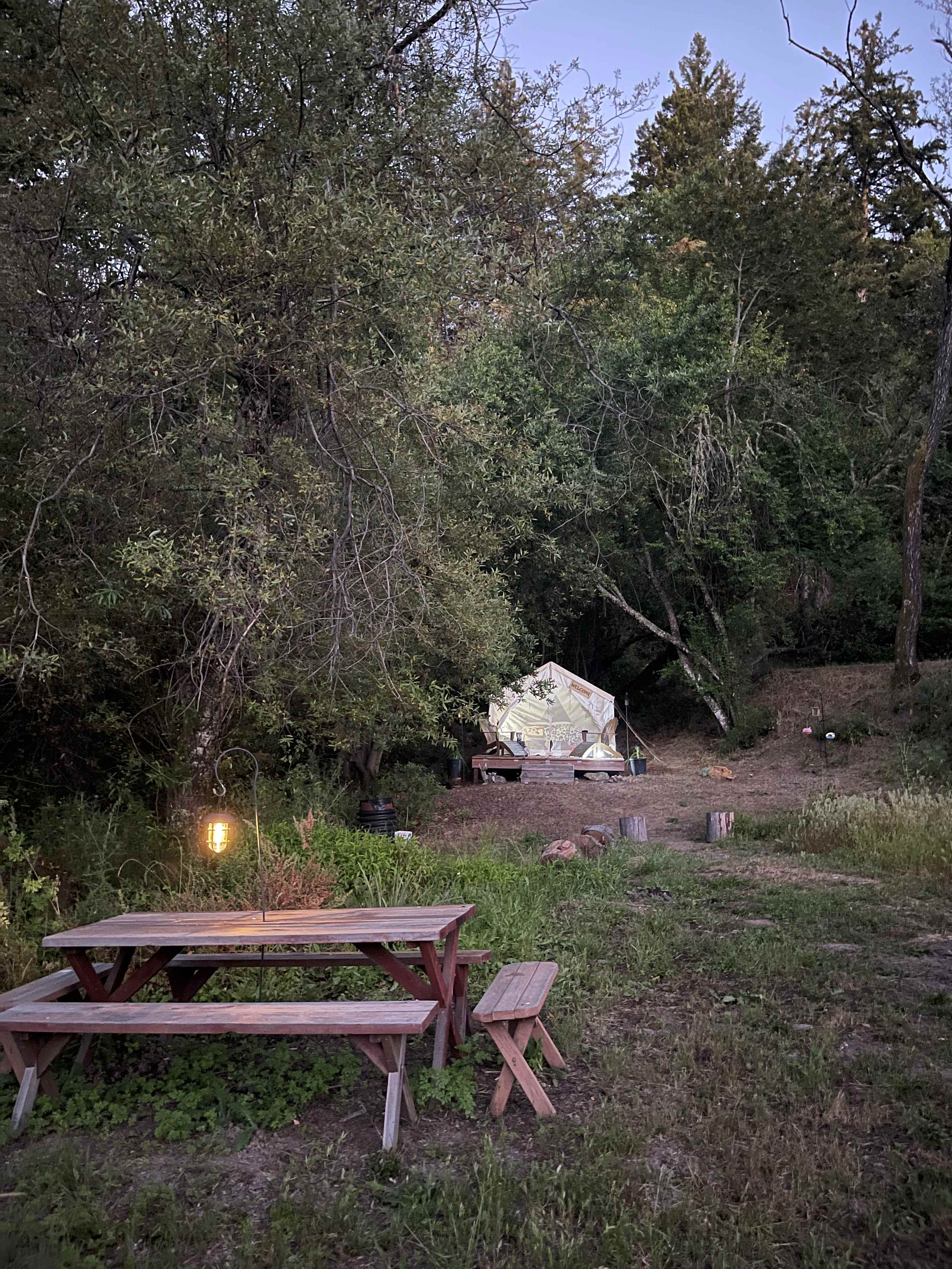 Santa Cruz Mountain Camping