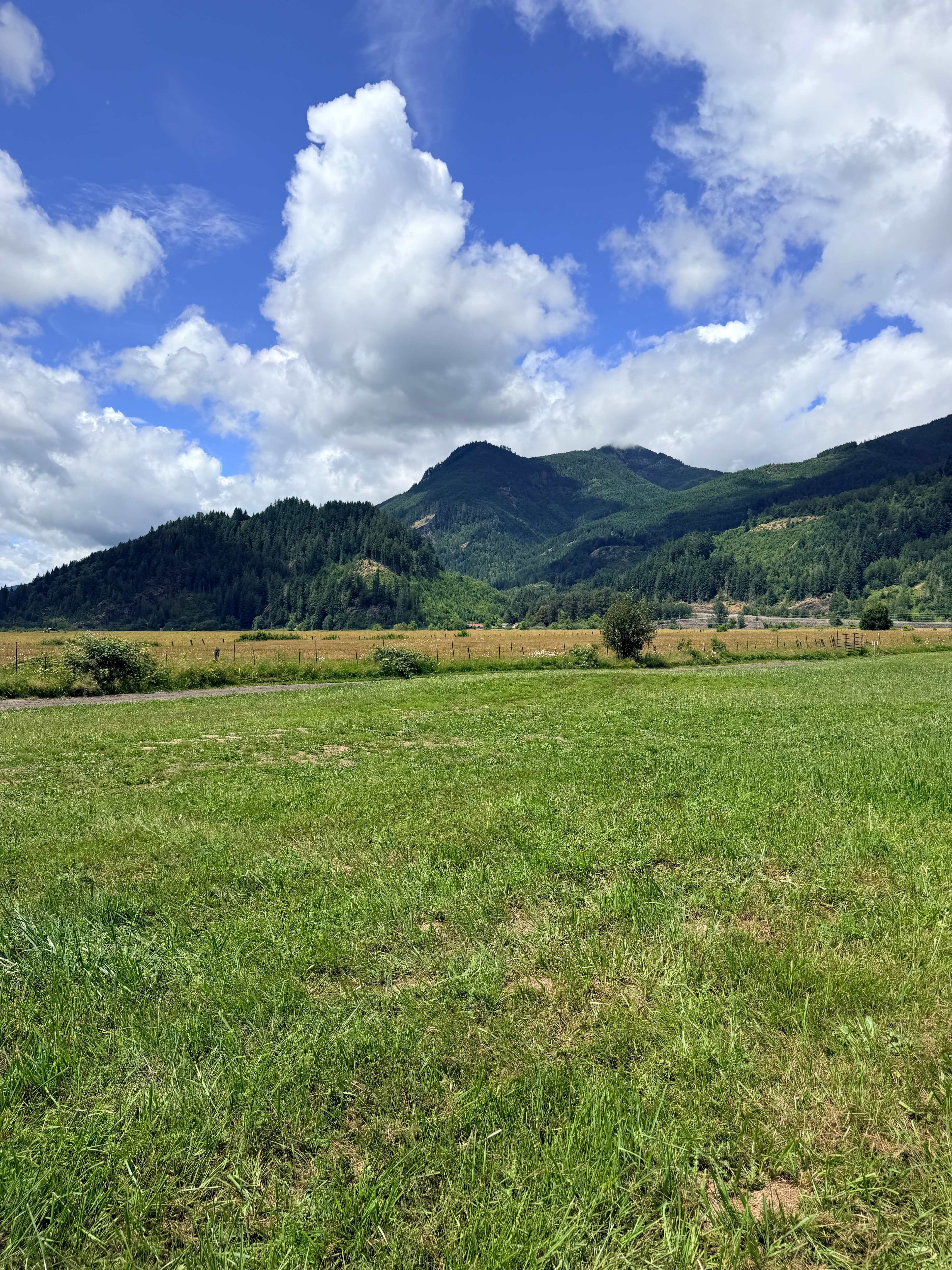 Cowlitz River Rentals