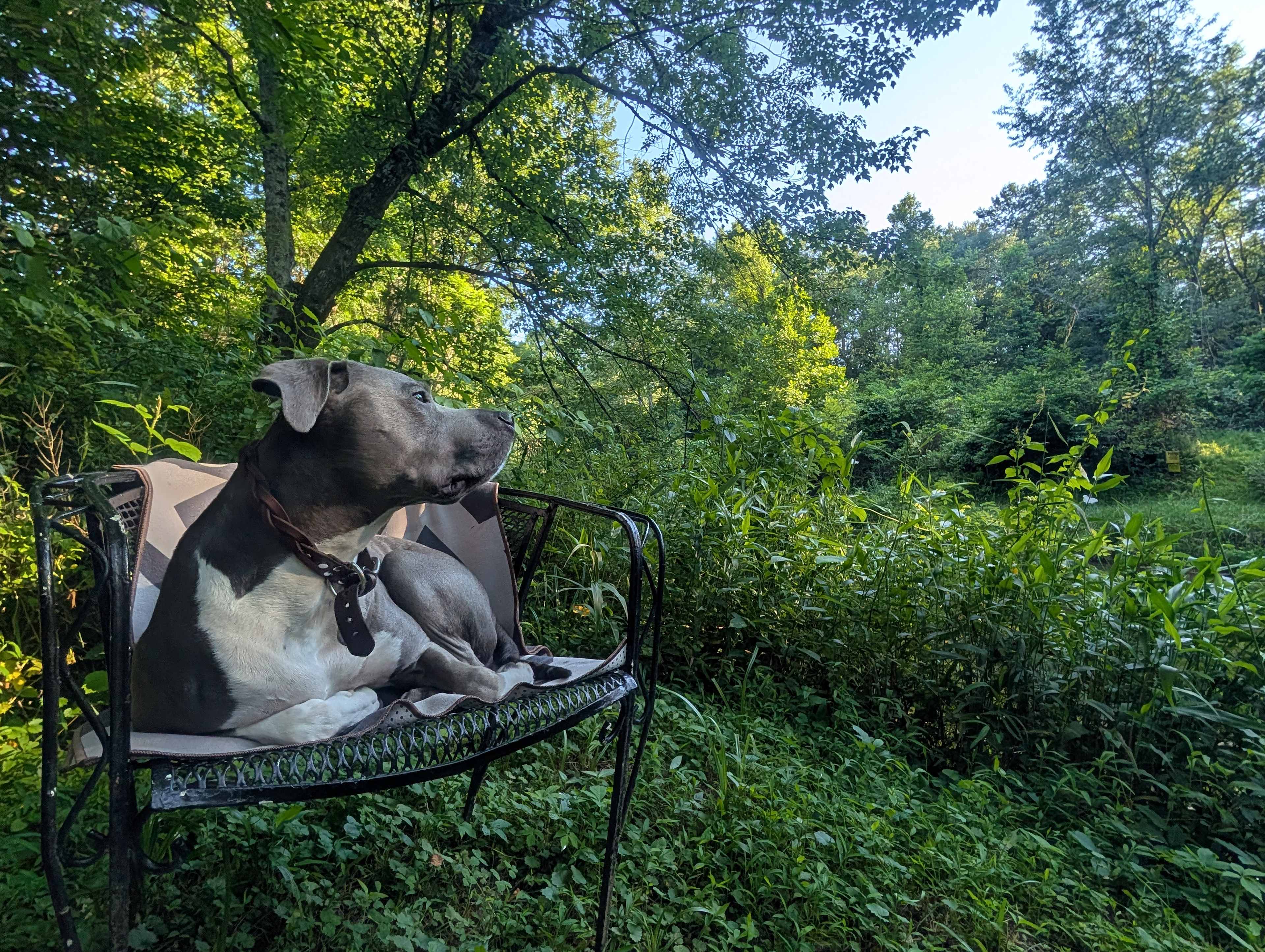 Creekside Orchard