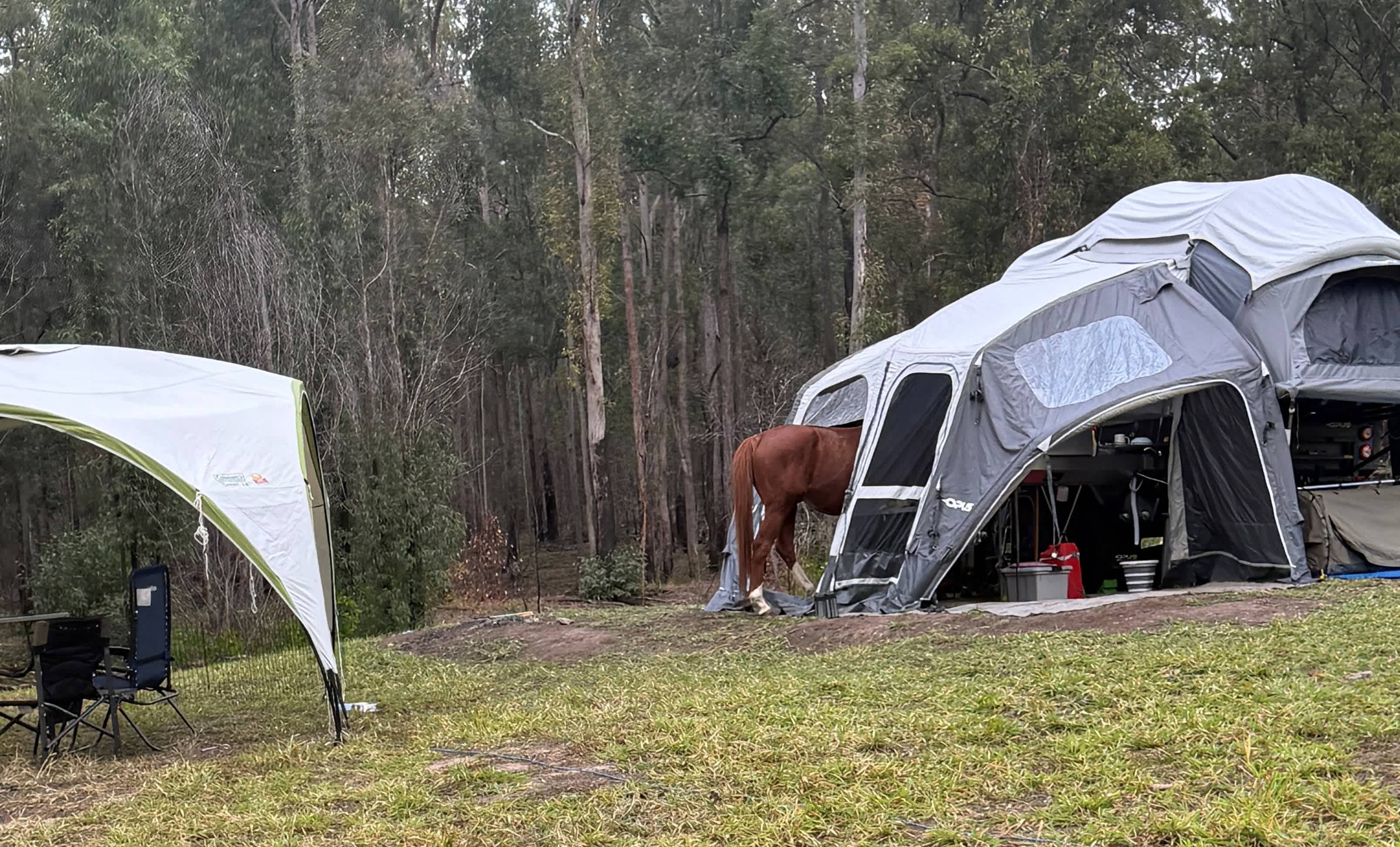 Hidden Camp Farm Stay