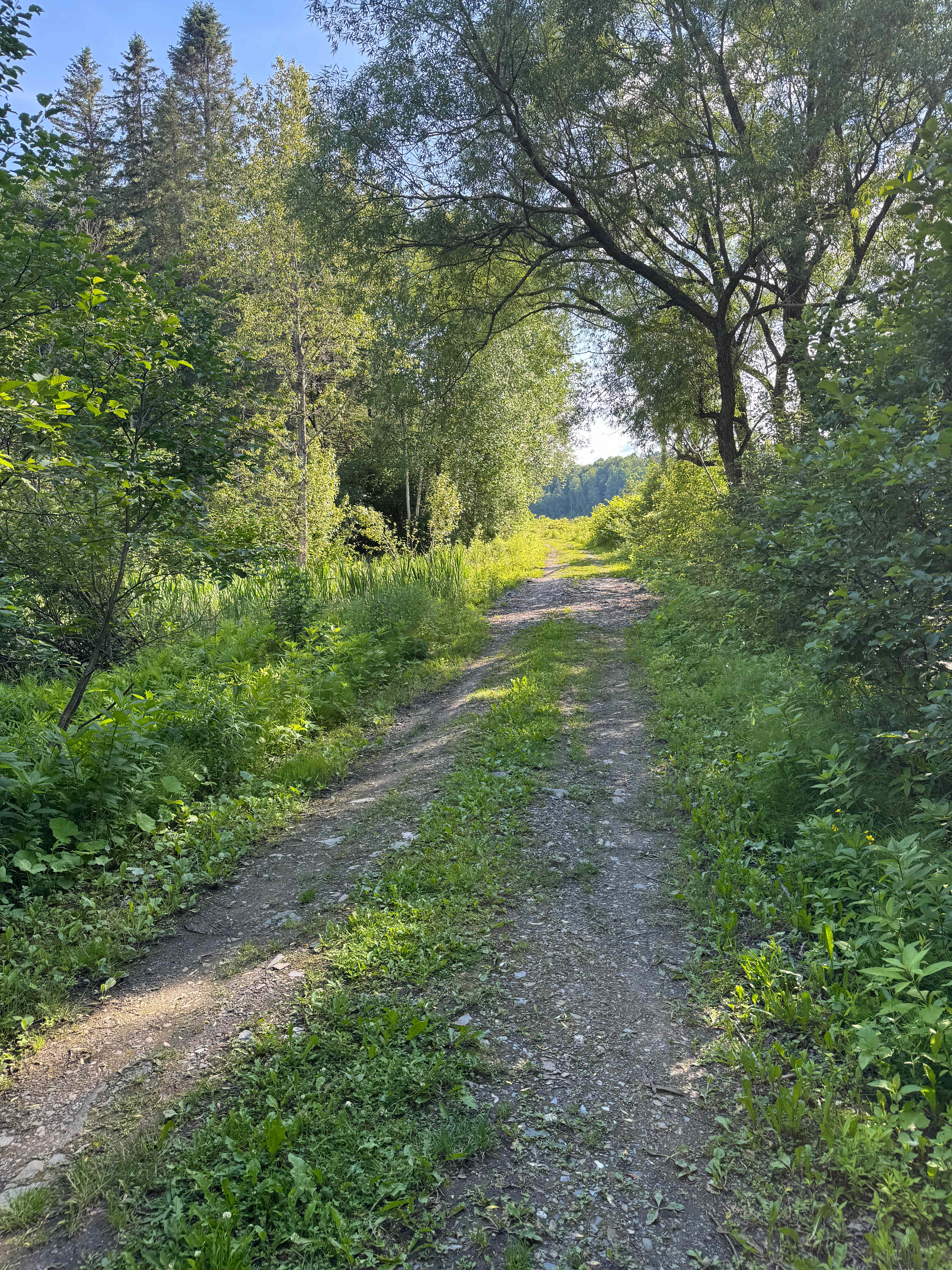 Au Petit Chat de la Riviere