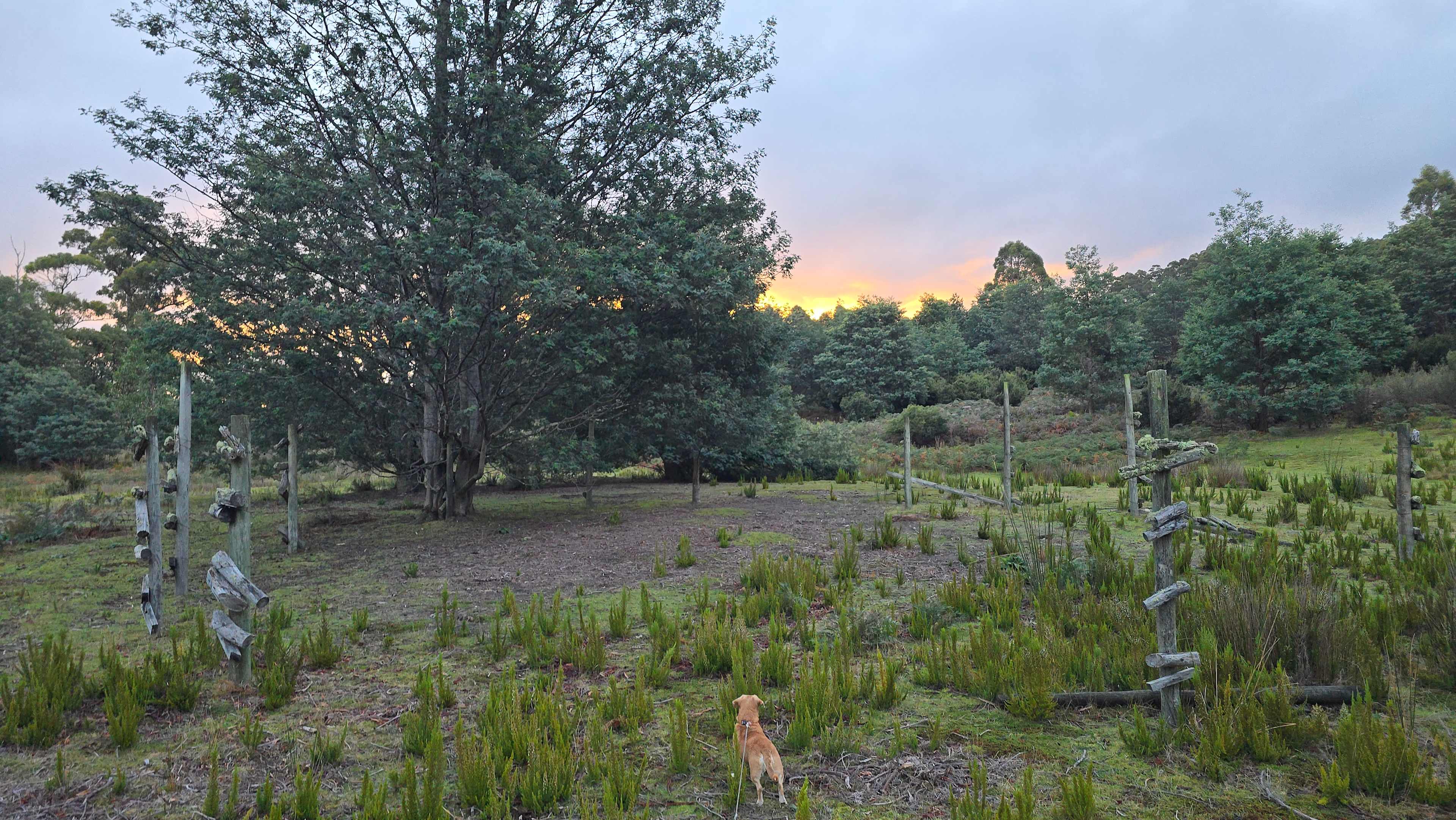 Picture of the site