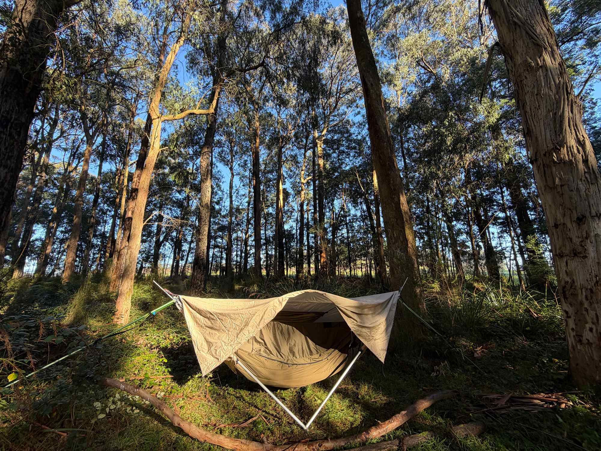 Toolangi Springwater Forest Camp