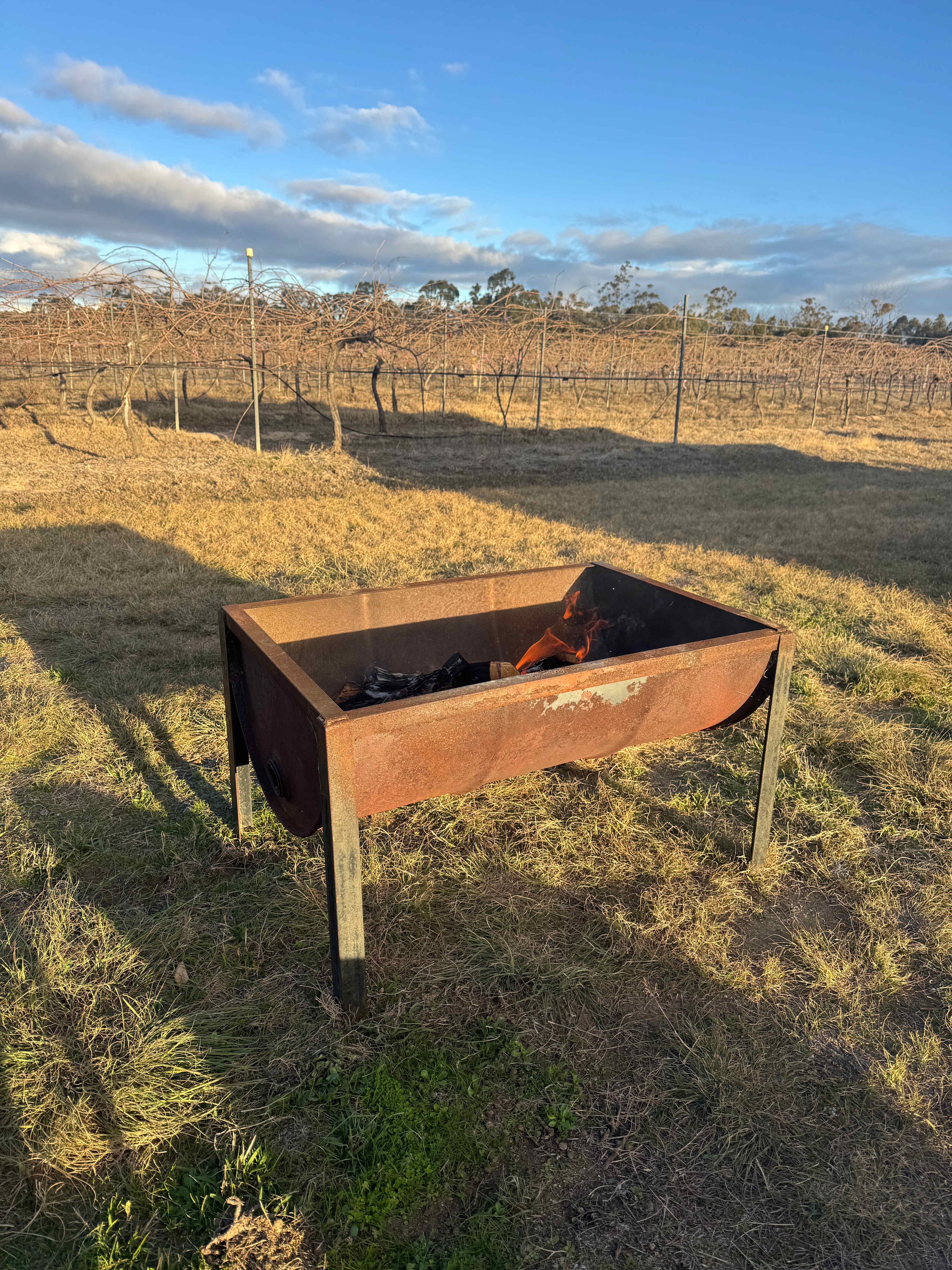 Mountview Wines Camping and Cabins