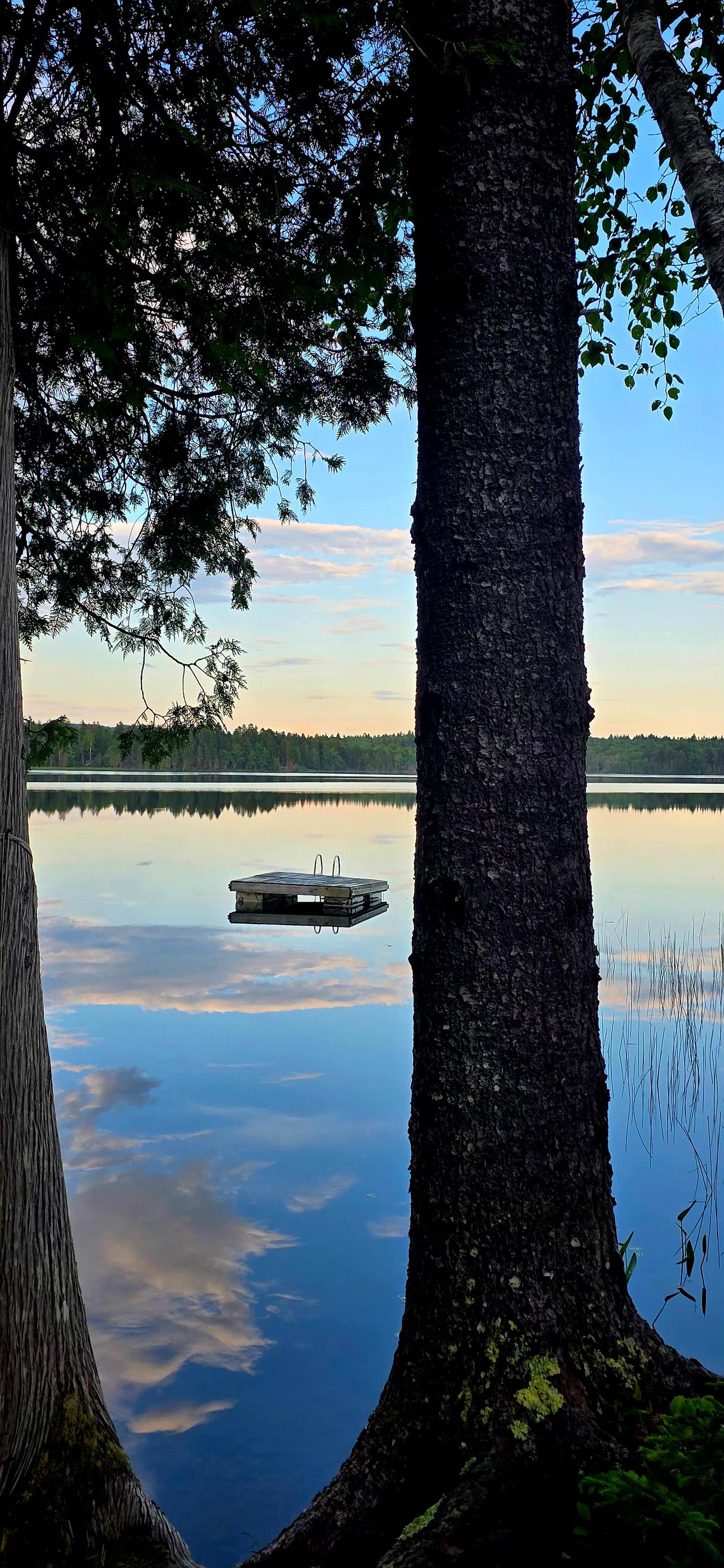 Lakeside Cabin Near St. Andrews