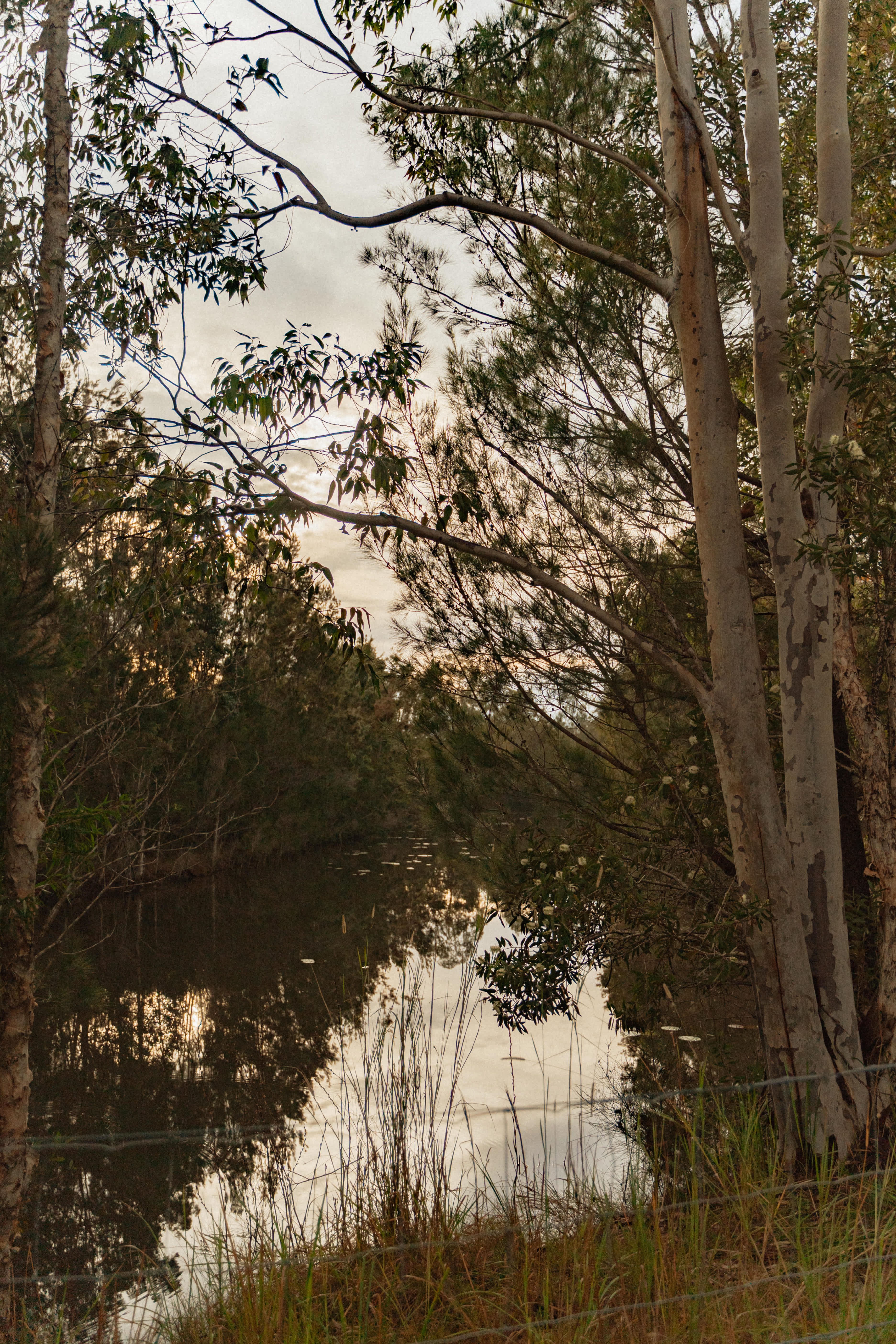 Diamond Park Campsite