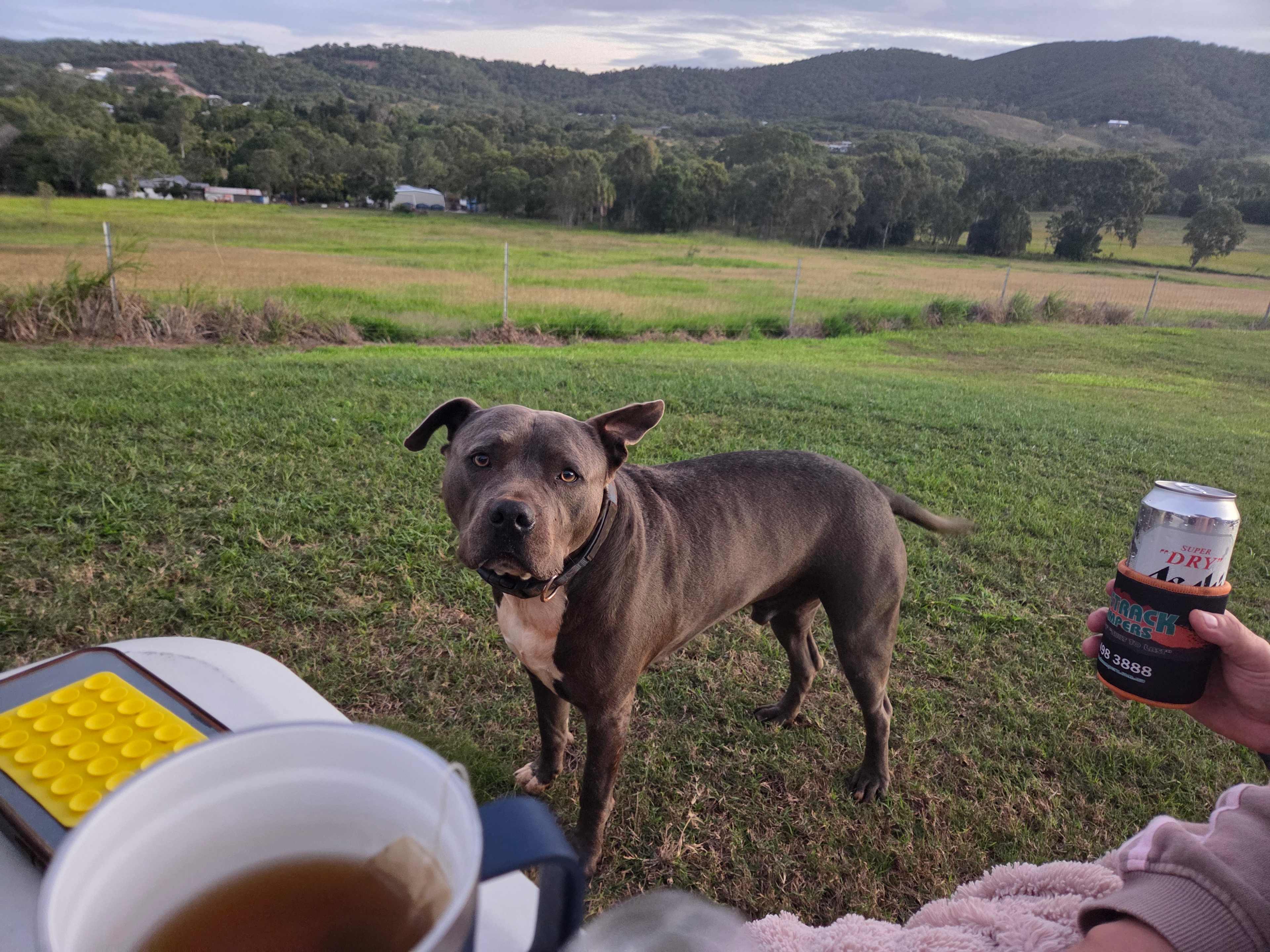 Yeppoon Farmstay
