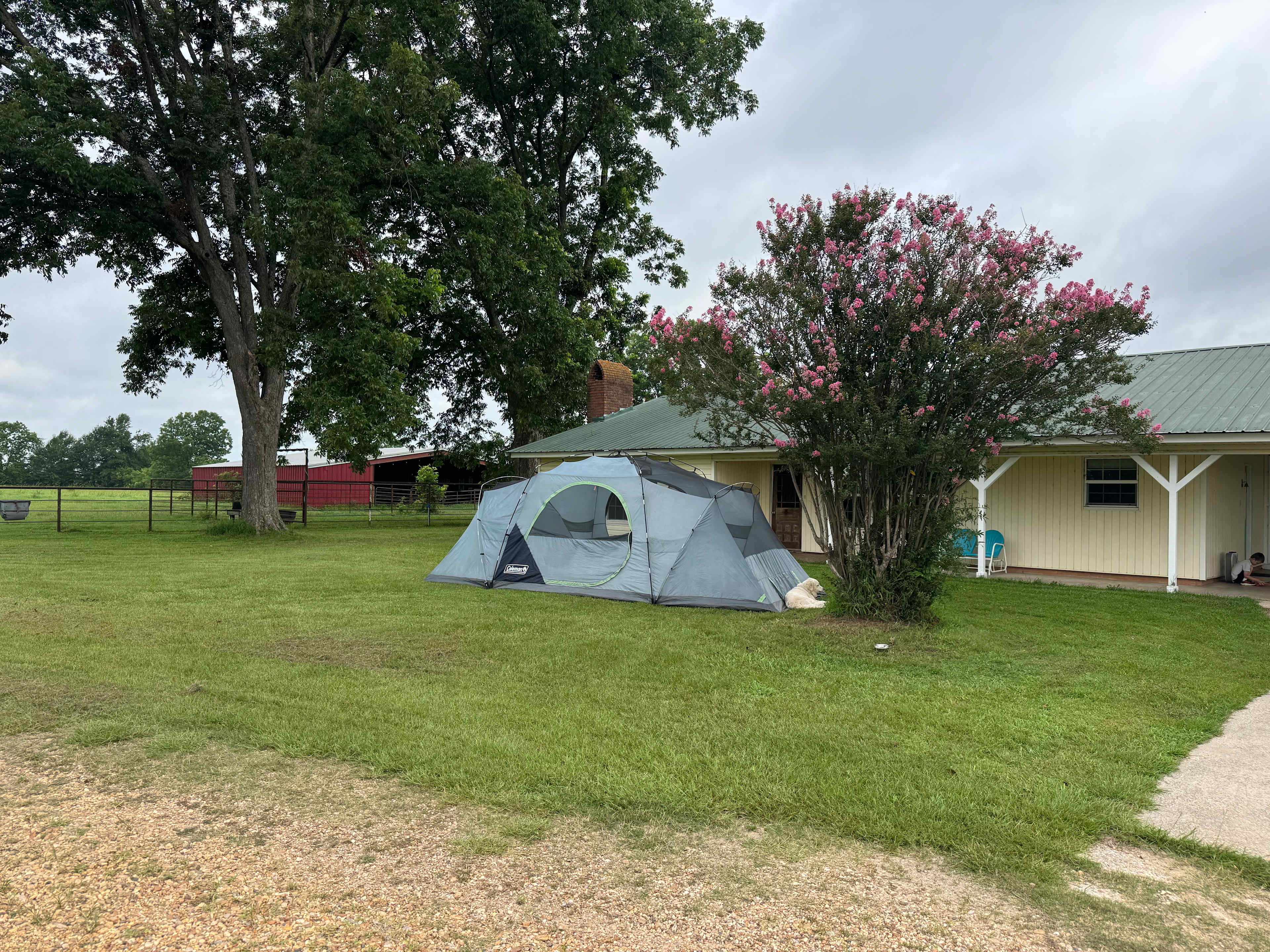 Savage Lane Farm Camping