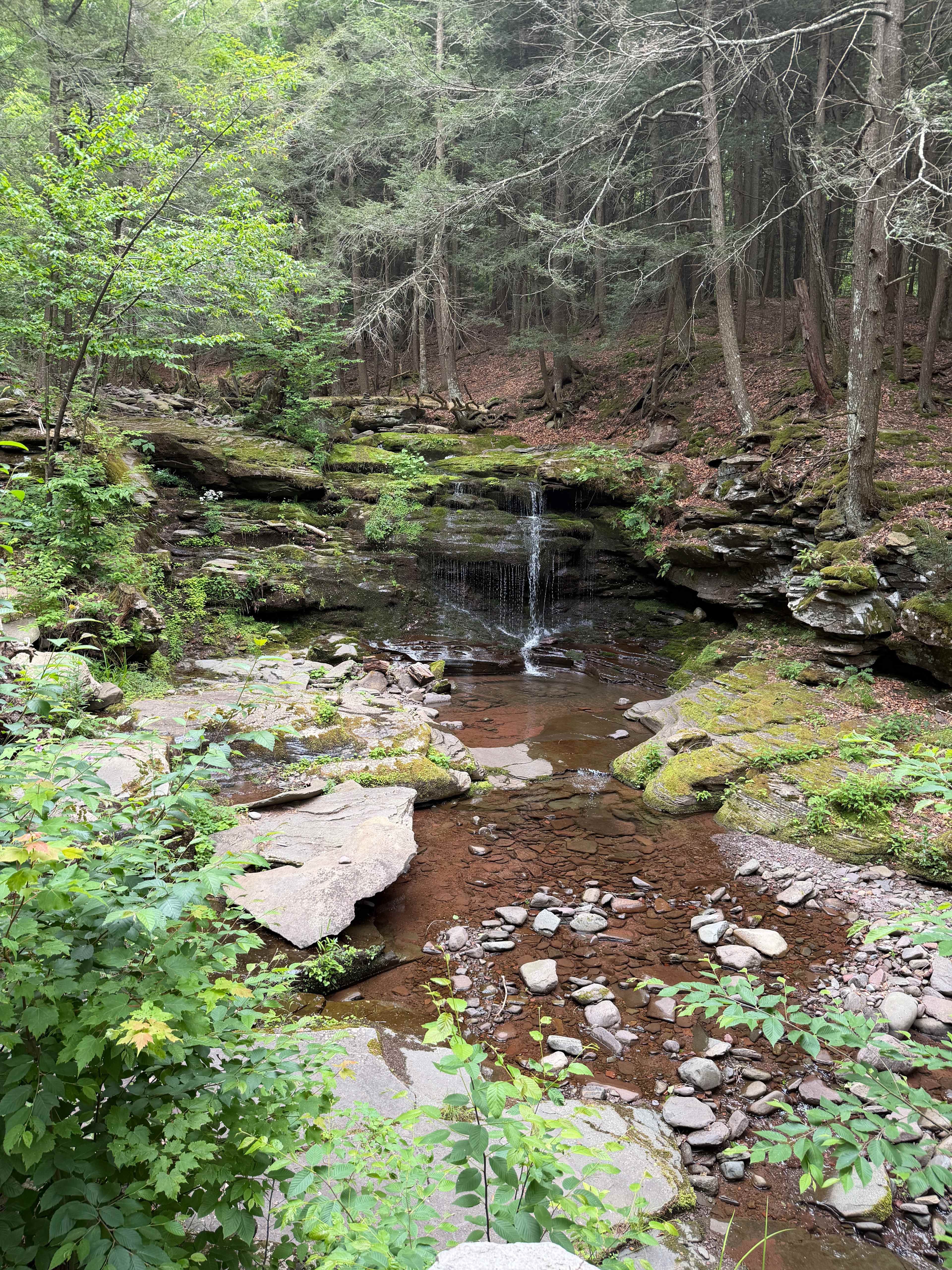 Timberland Falls