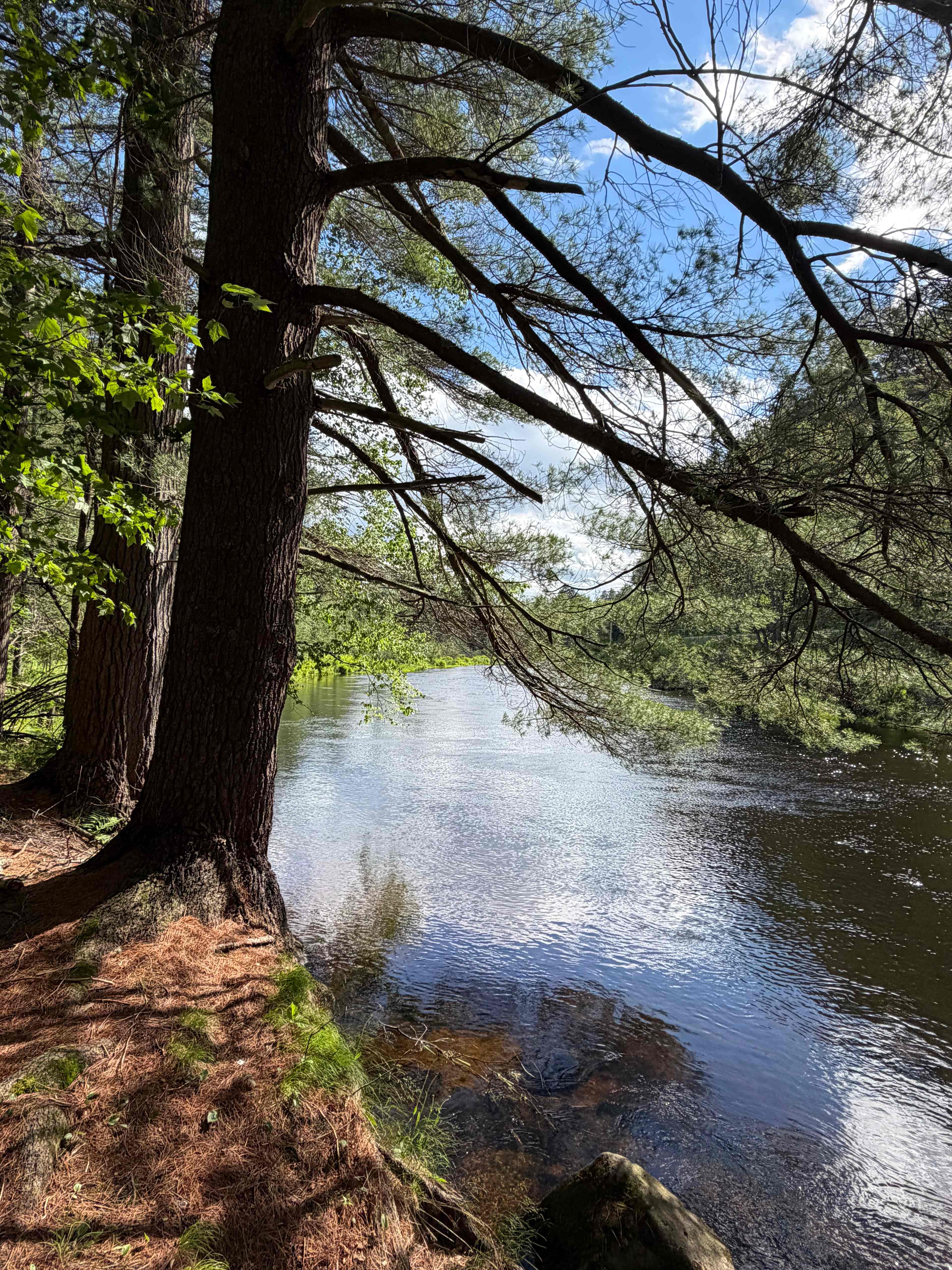 Saranac Lake River Camp