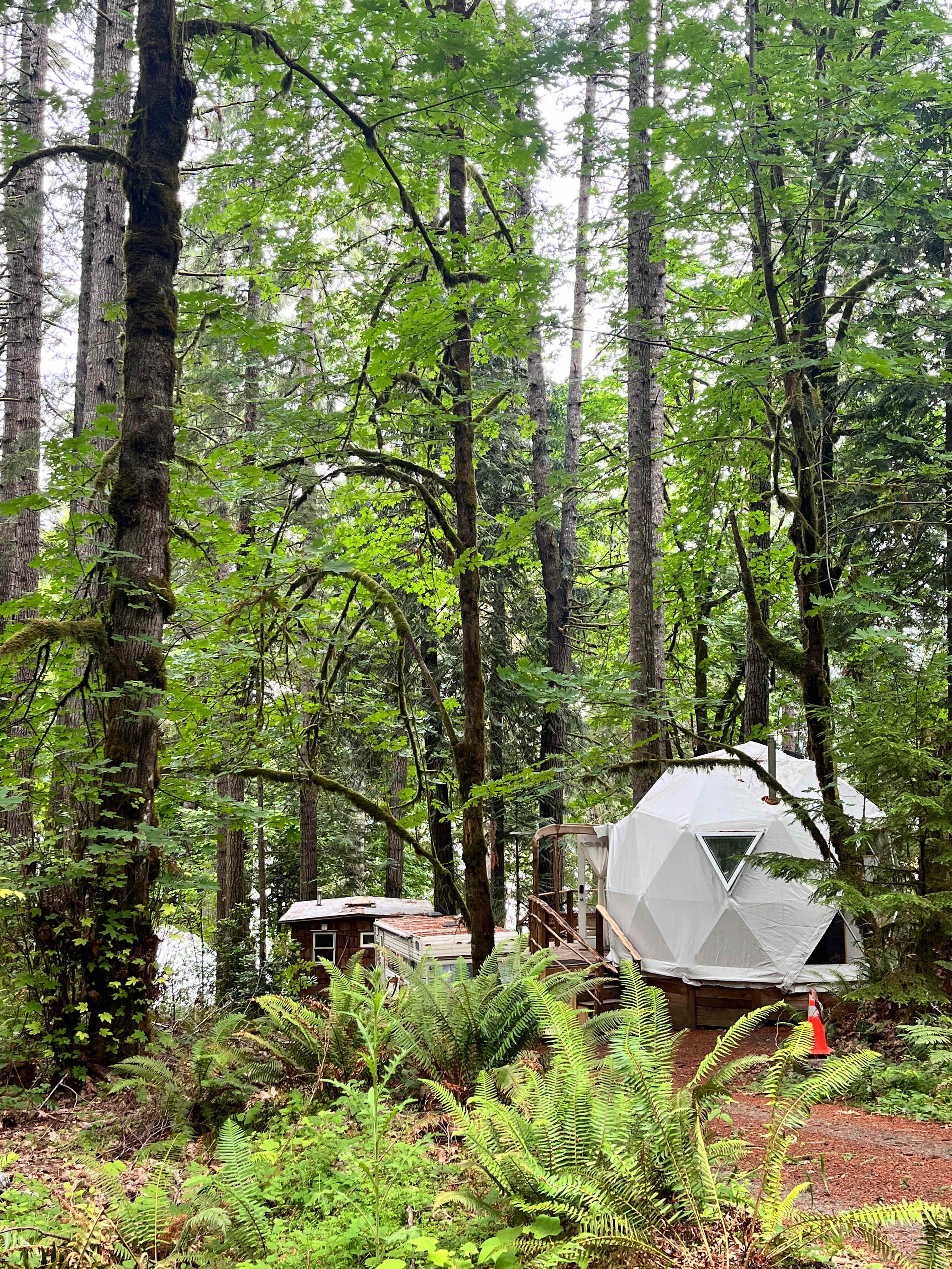 Elevation Hive Forest Retreat