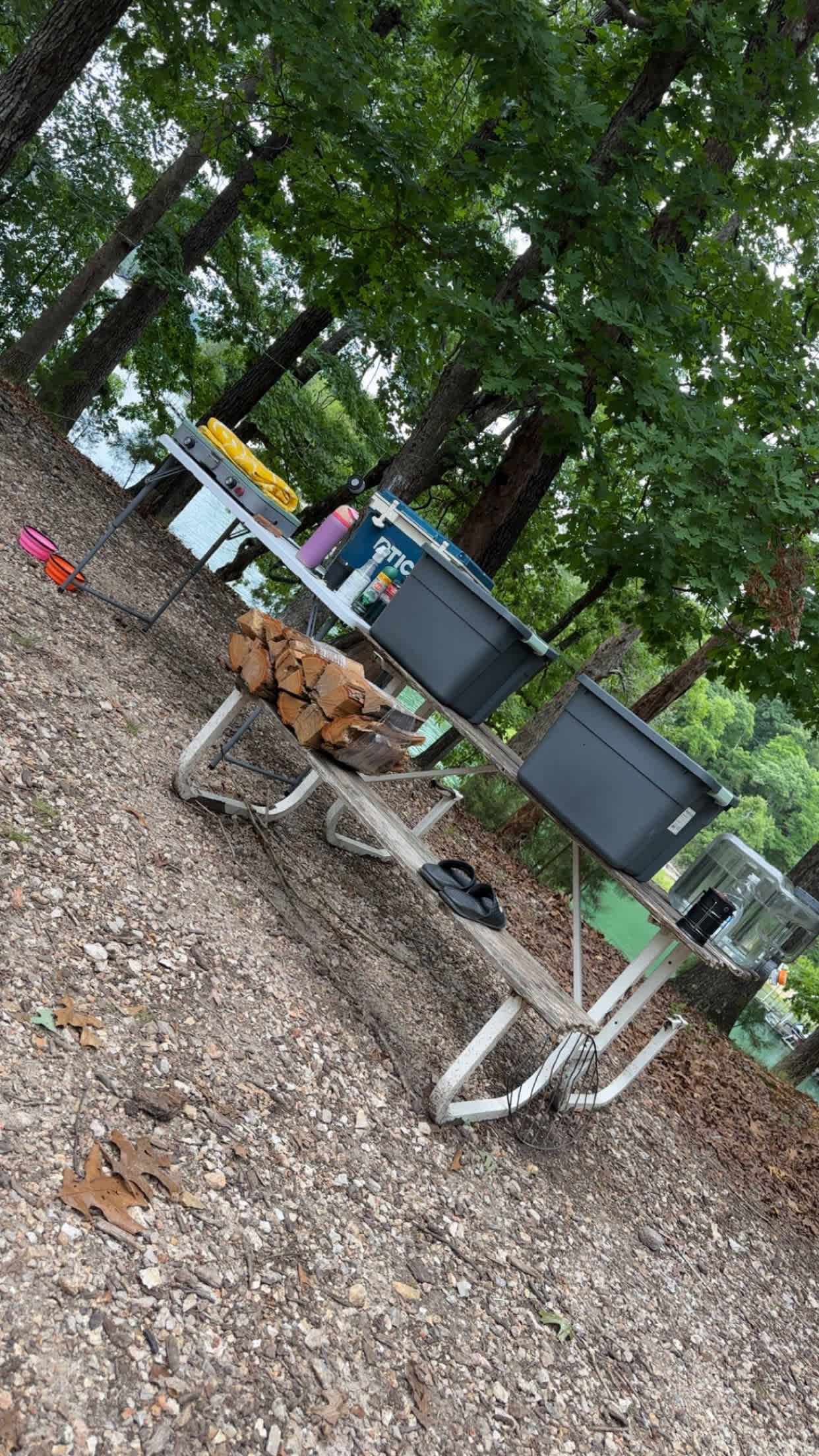 Fresh Life at Rocky Branch