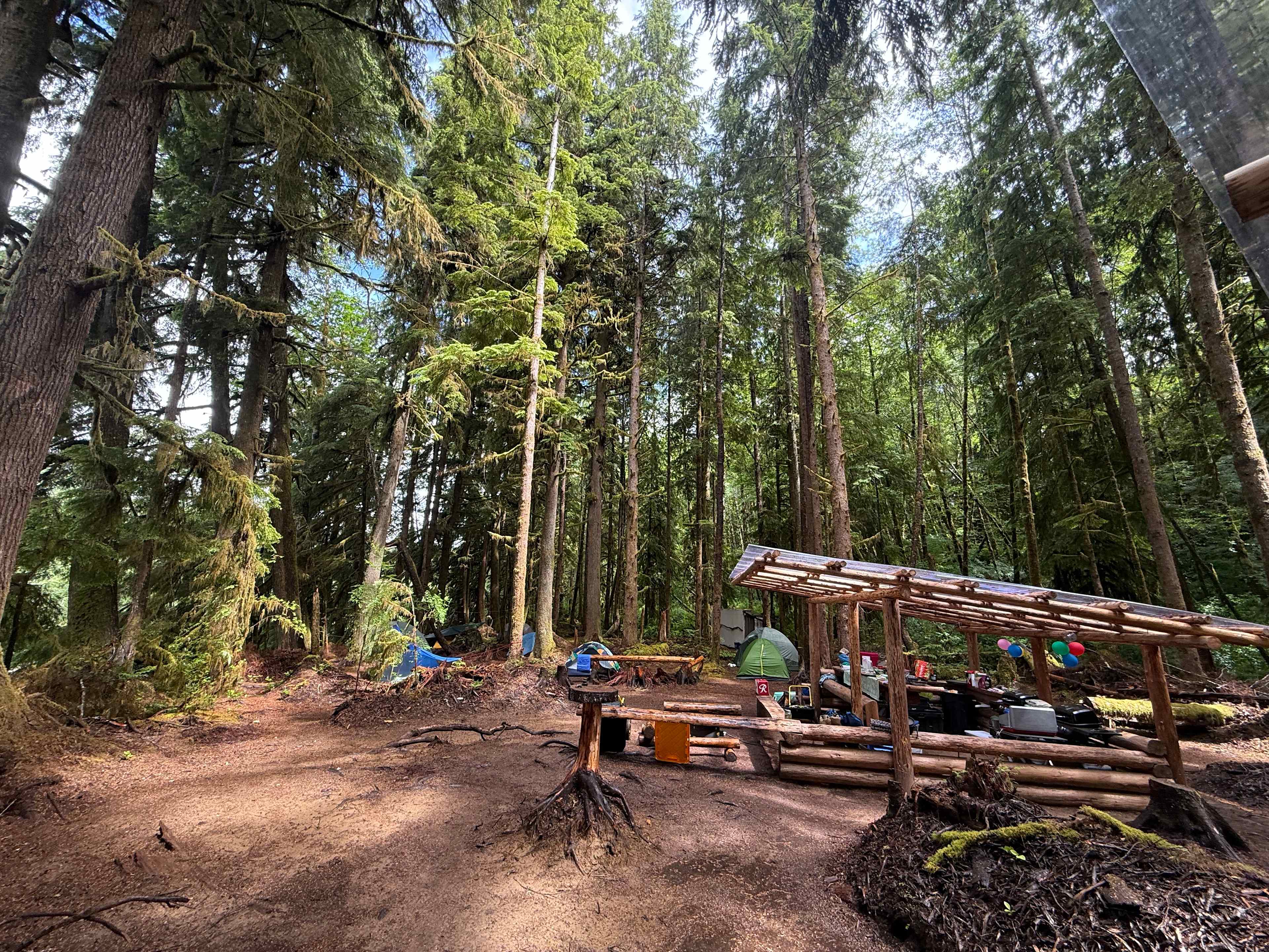 Bogachiel Upriver Campsites