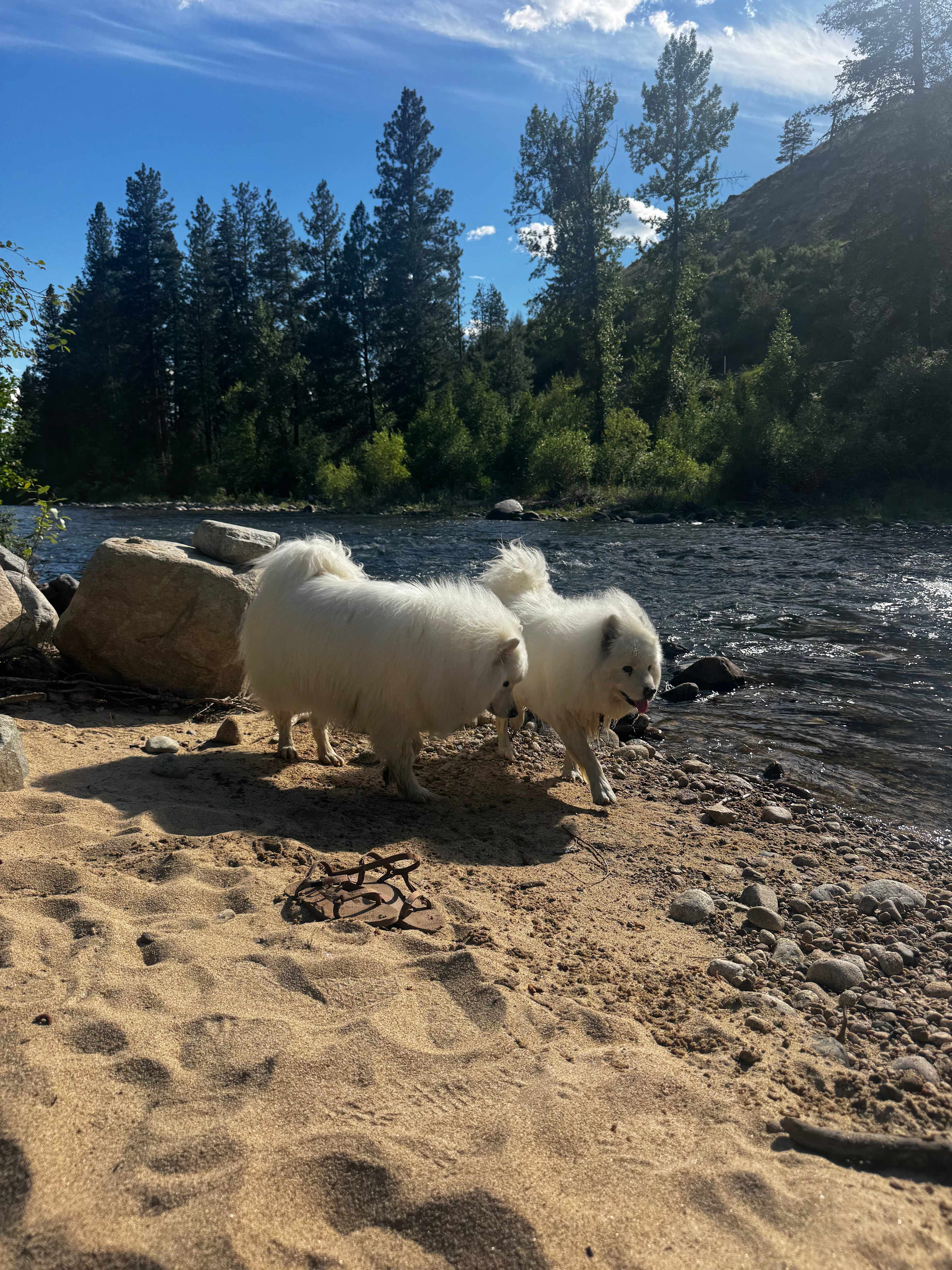 Chewack River Guest Ranch