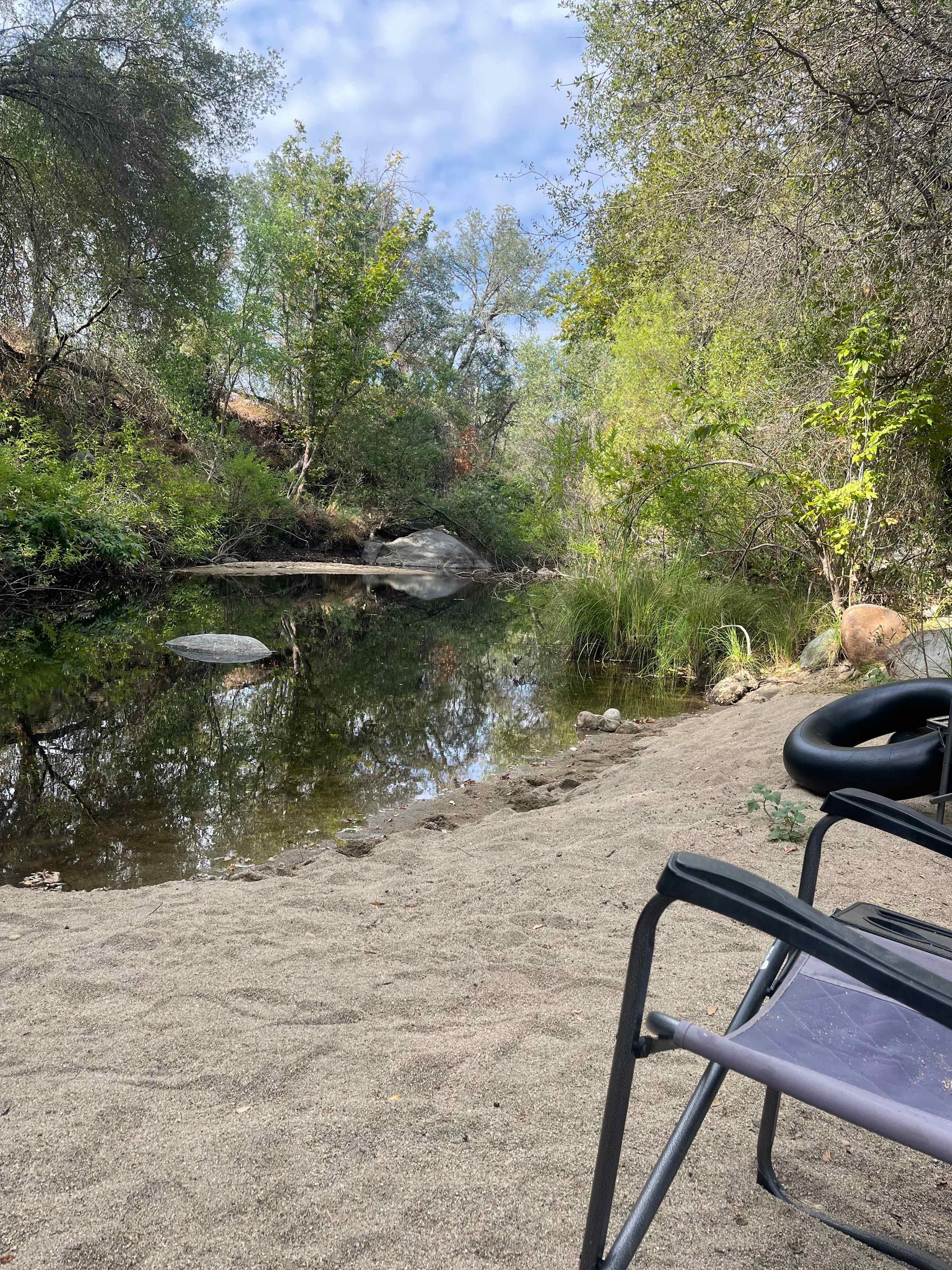 Turtle cove 