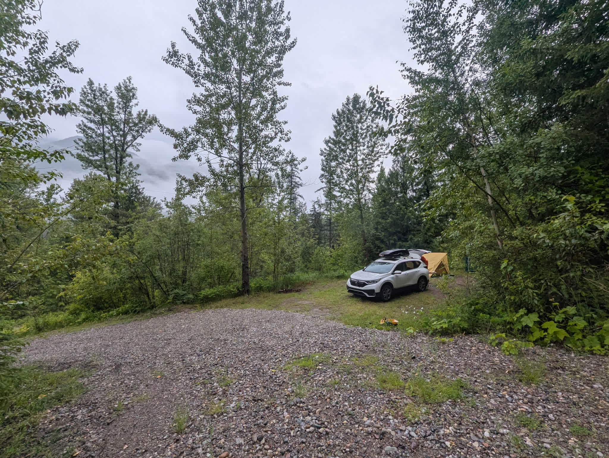 Thistle Dew in Fernie