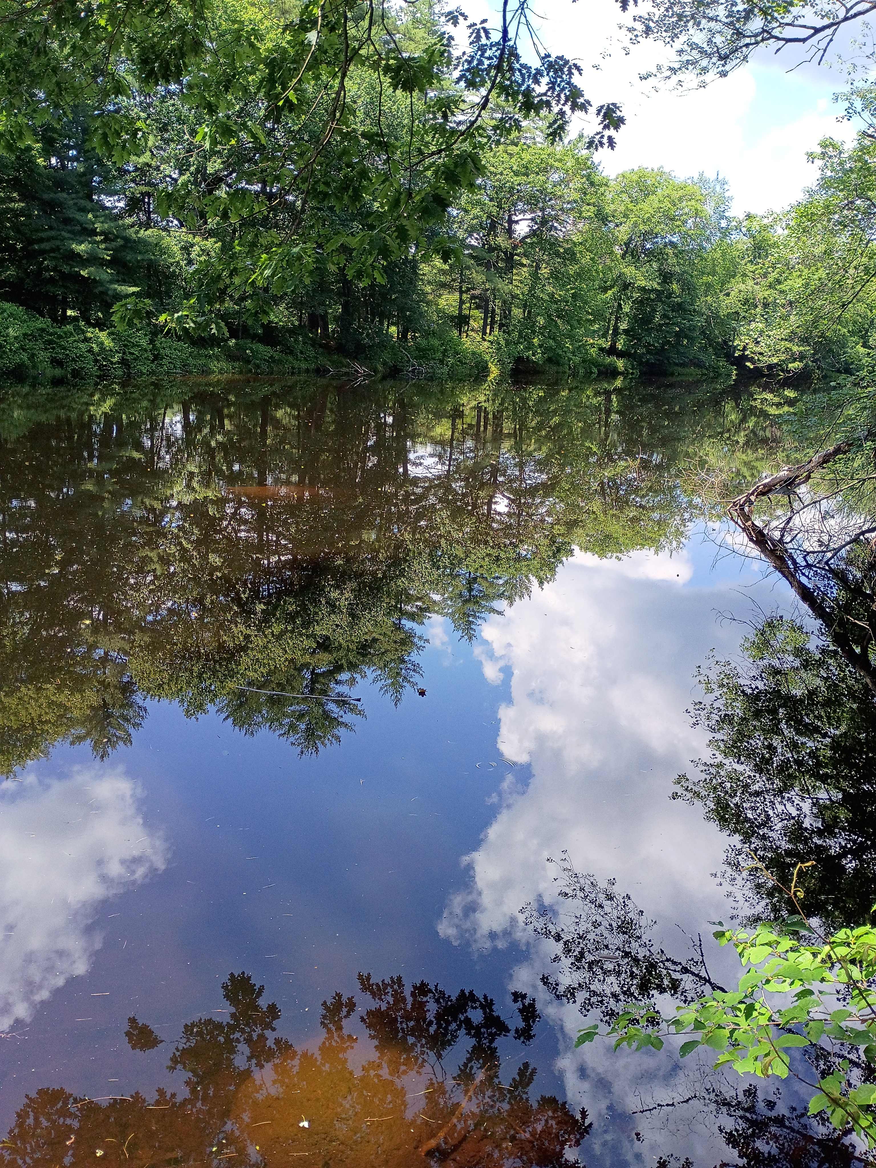 Winding River