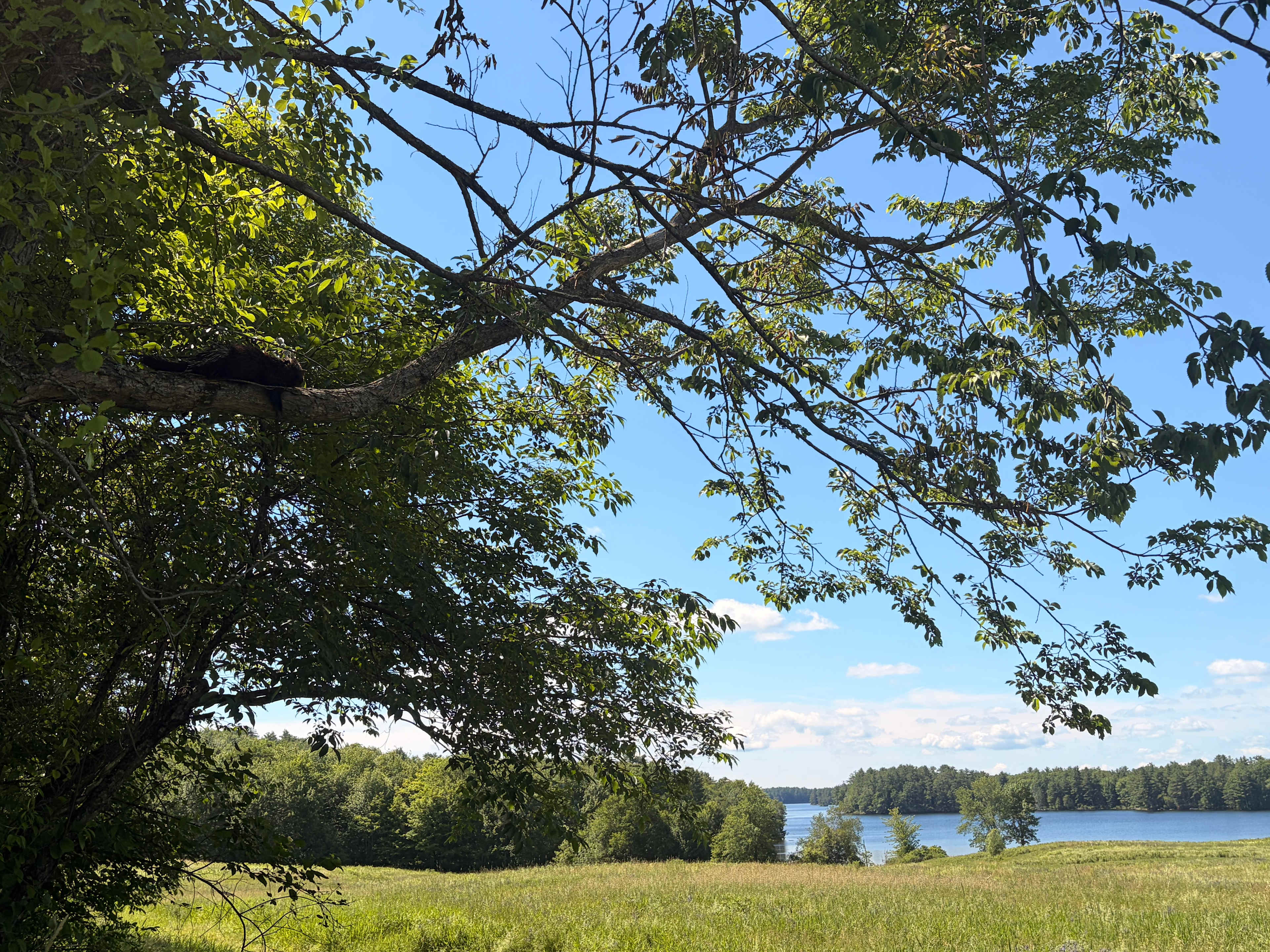 Slippery Rock Trails LLC