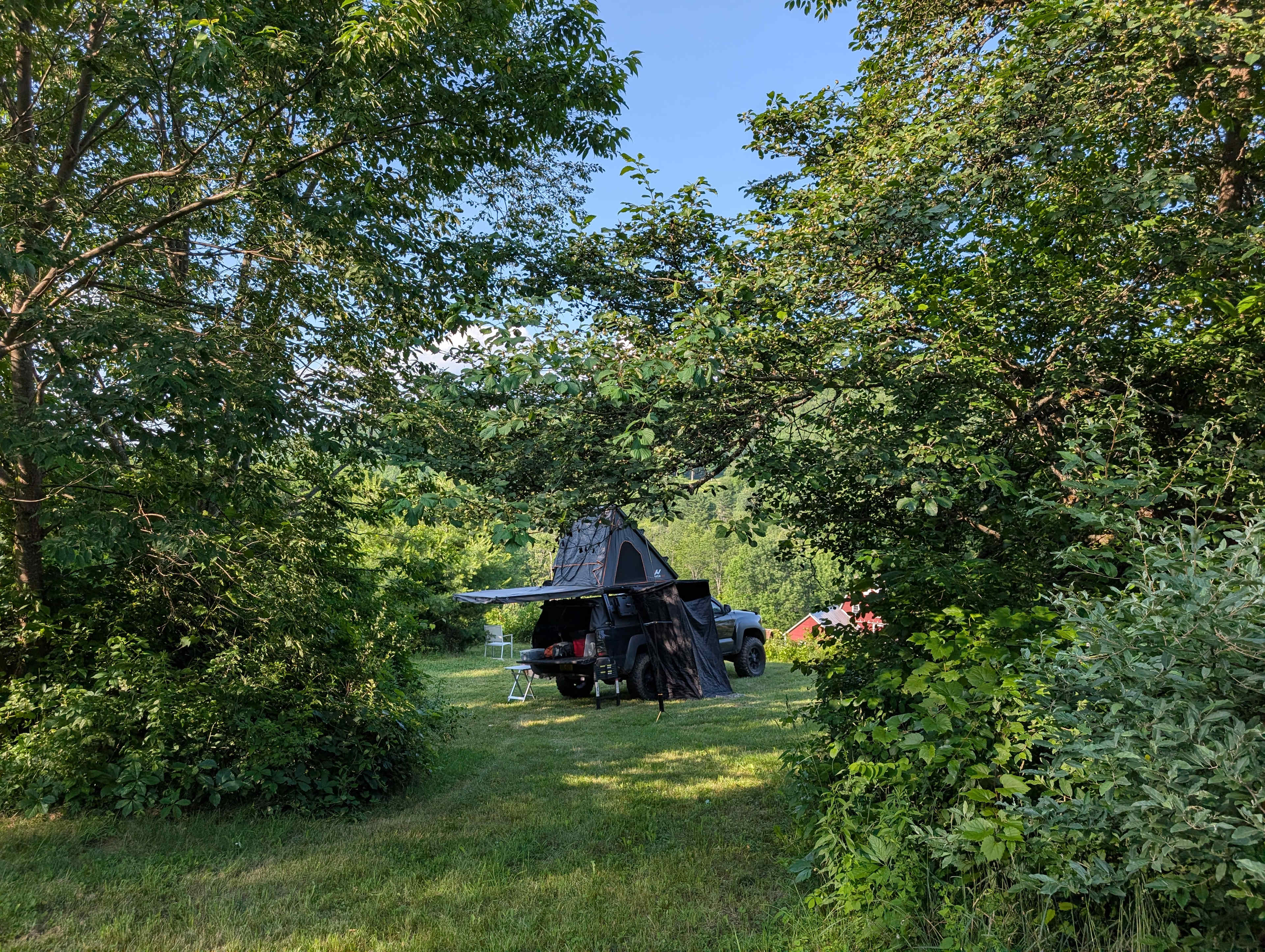 Wooded Farm Land